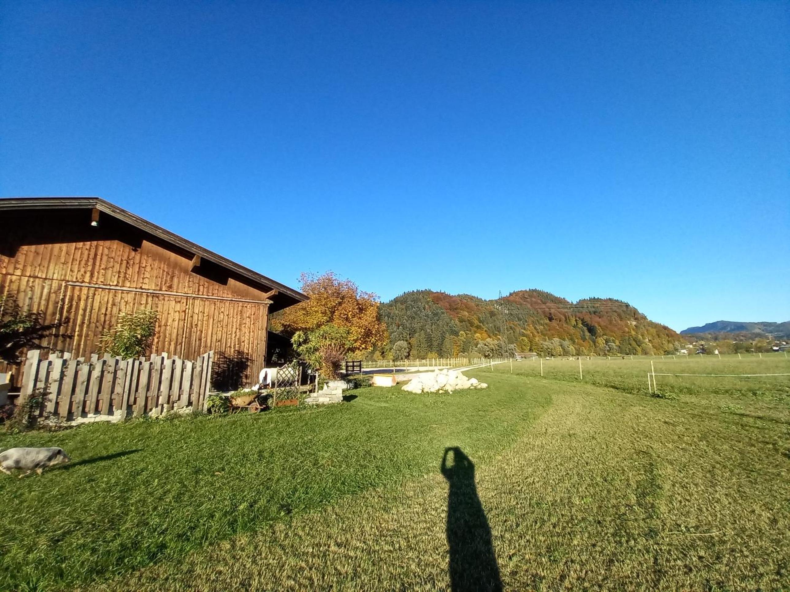 Bio-Chalet Haus Wagner