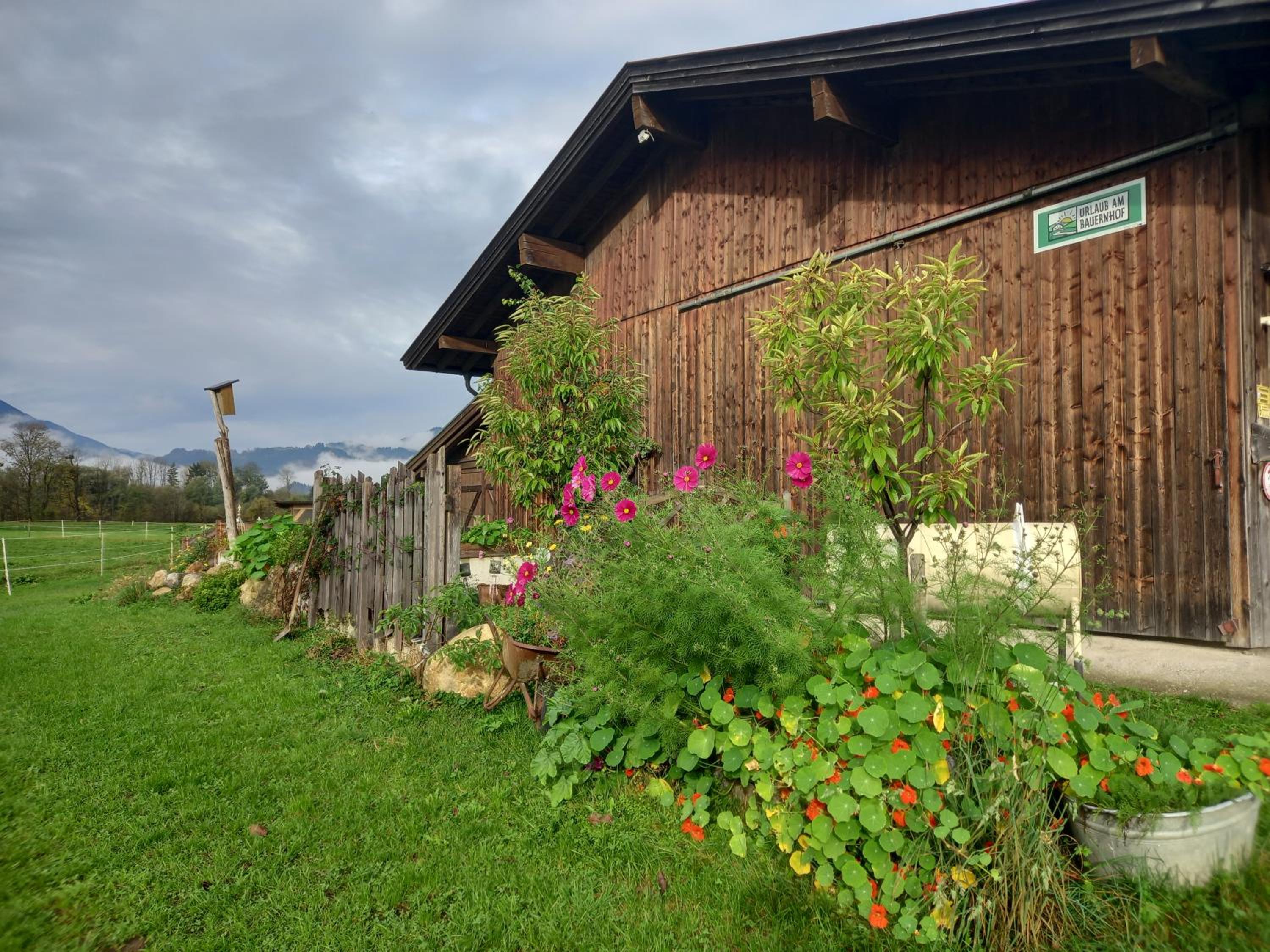 Bio-Chalet Haus Wagner