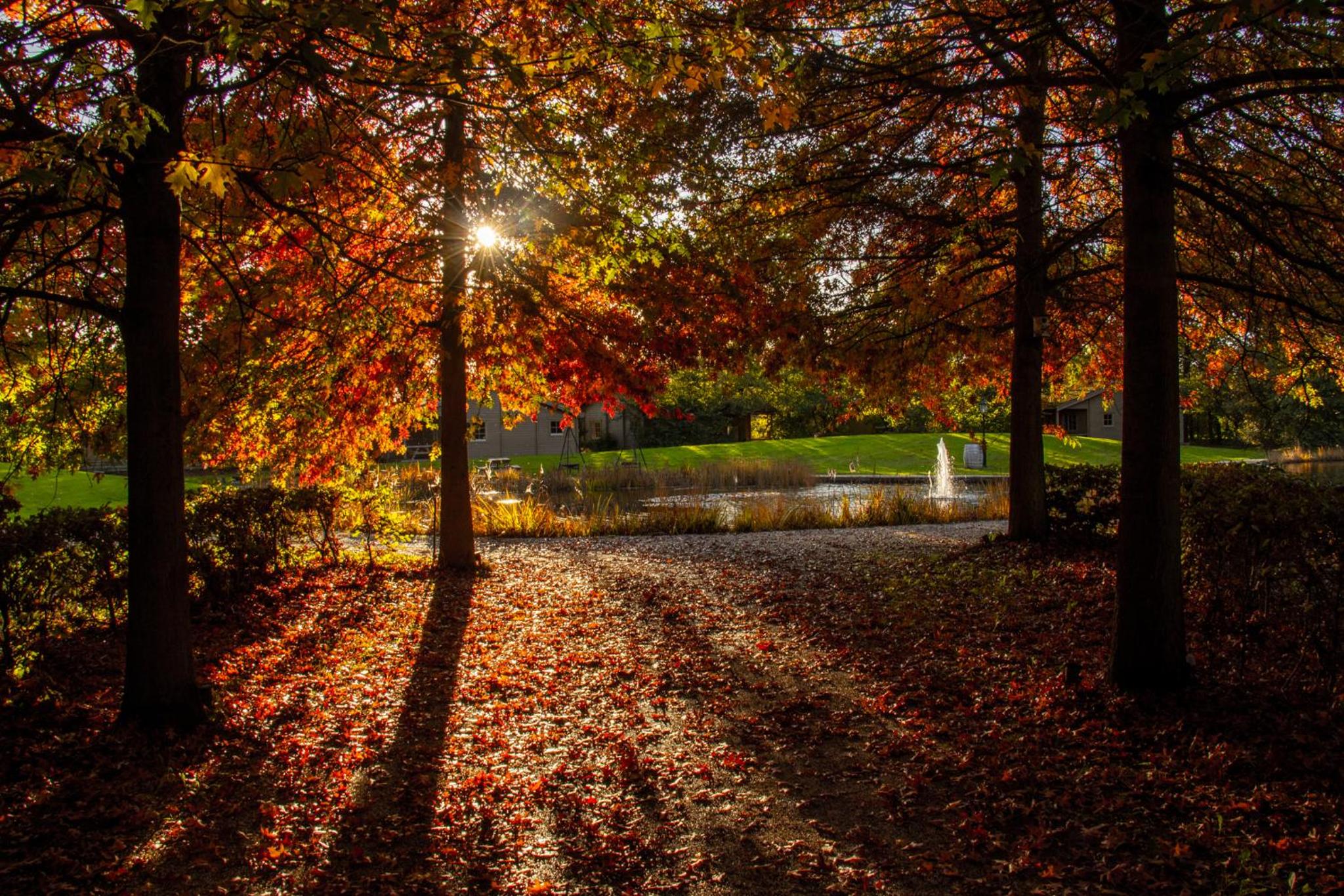 Het Hilkensberg Park