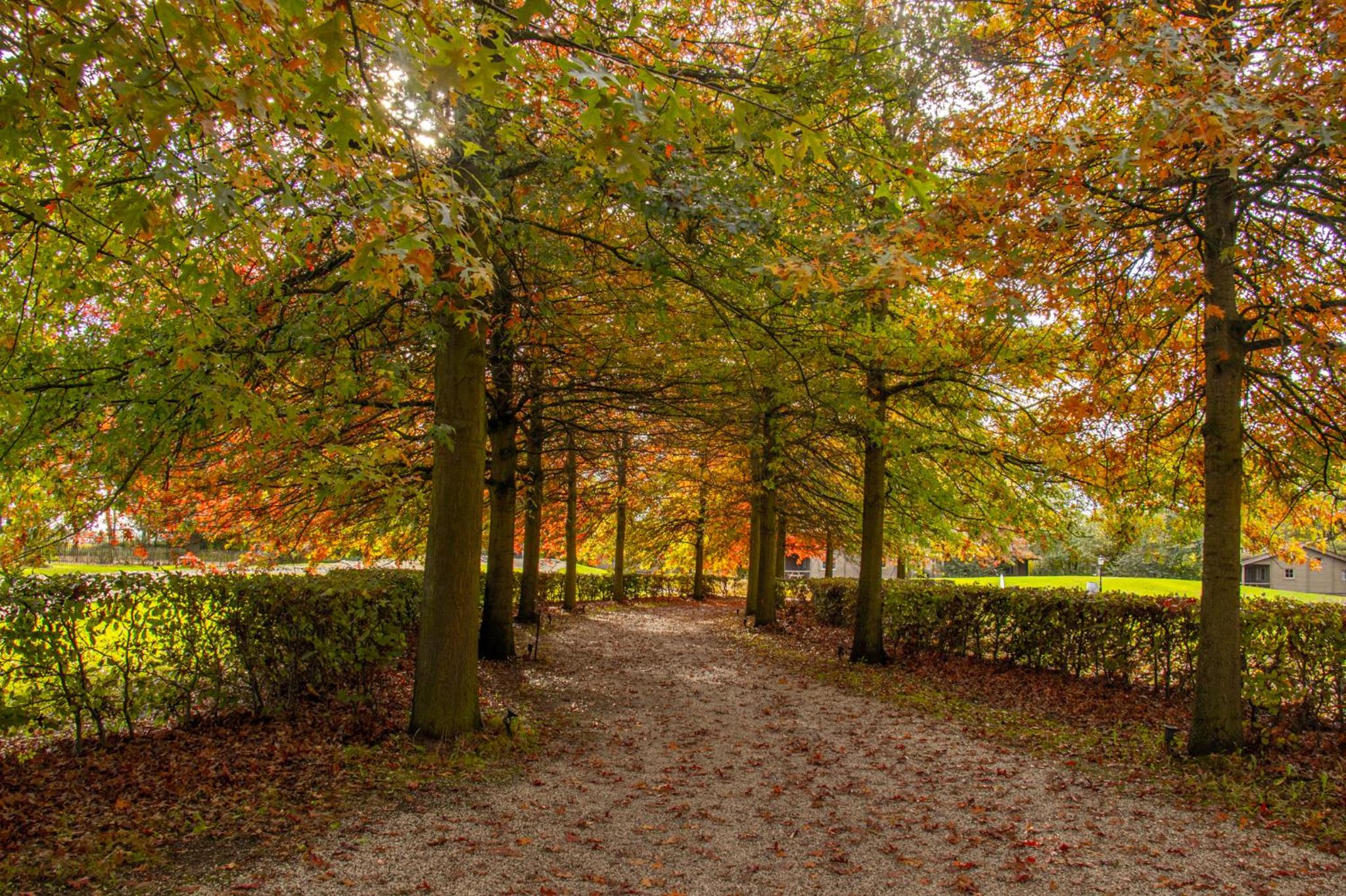 Het Hilkensberg Park
