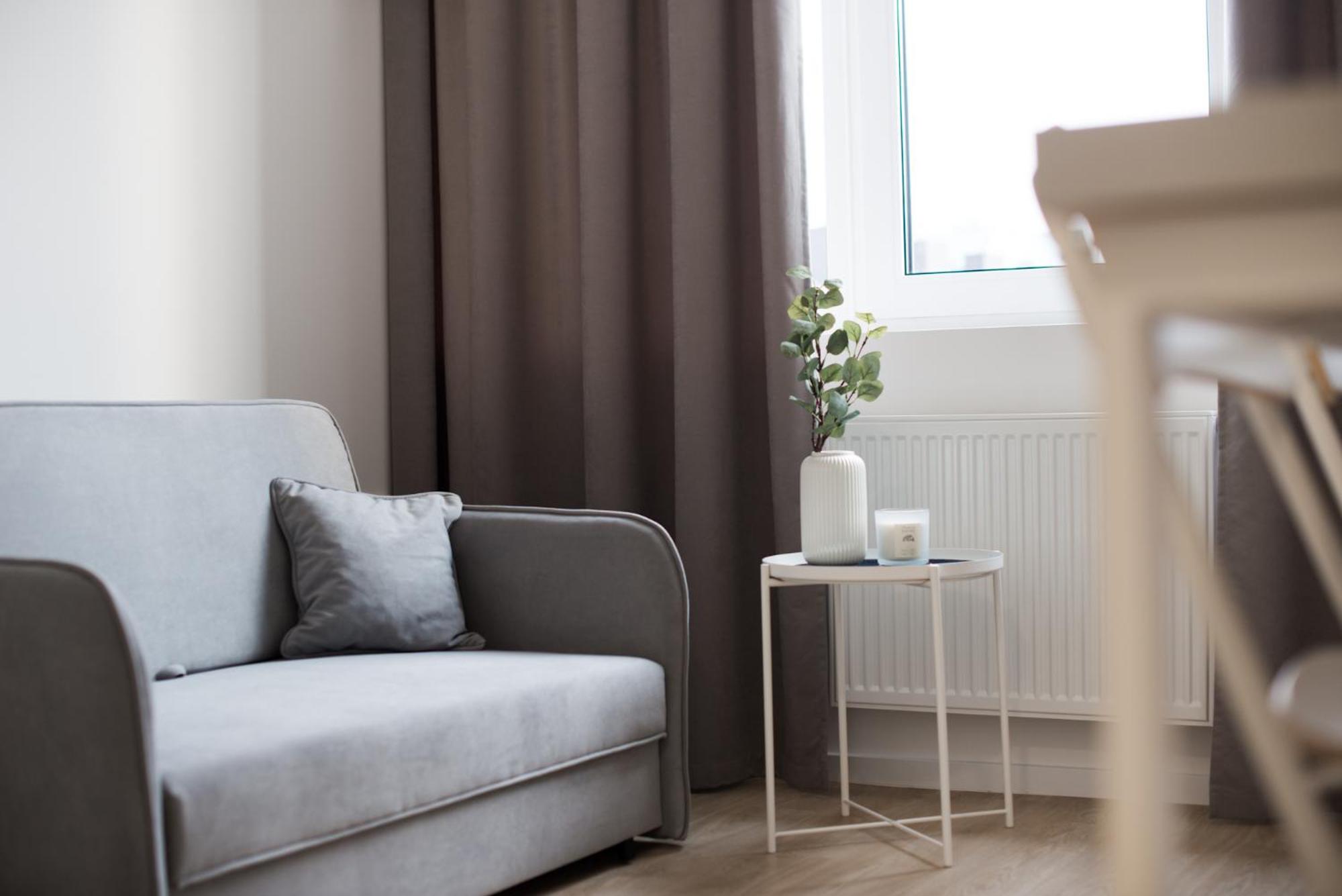 Studio apartment in Laisvės alėja view 4