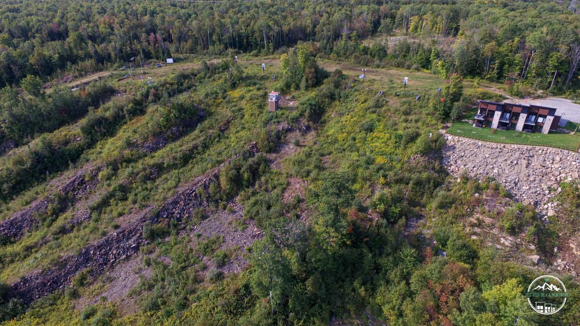 Les Rois de la Montagne