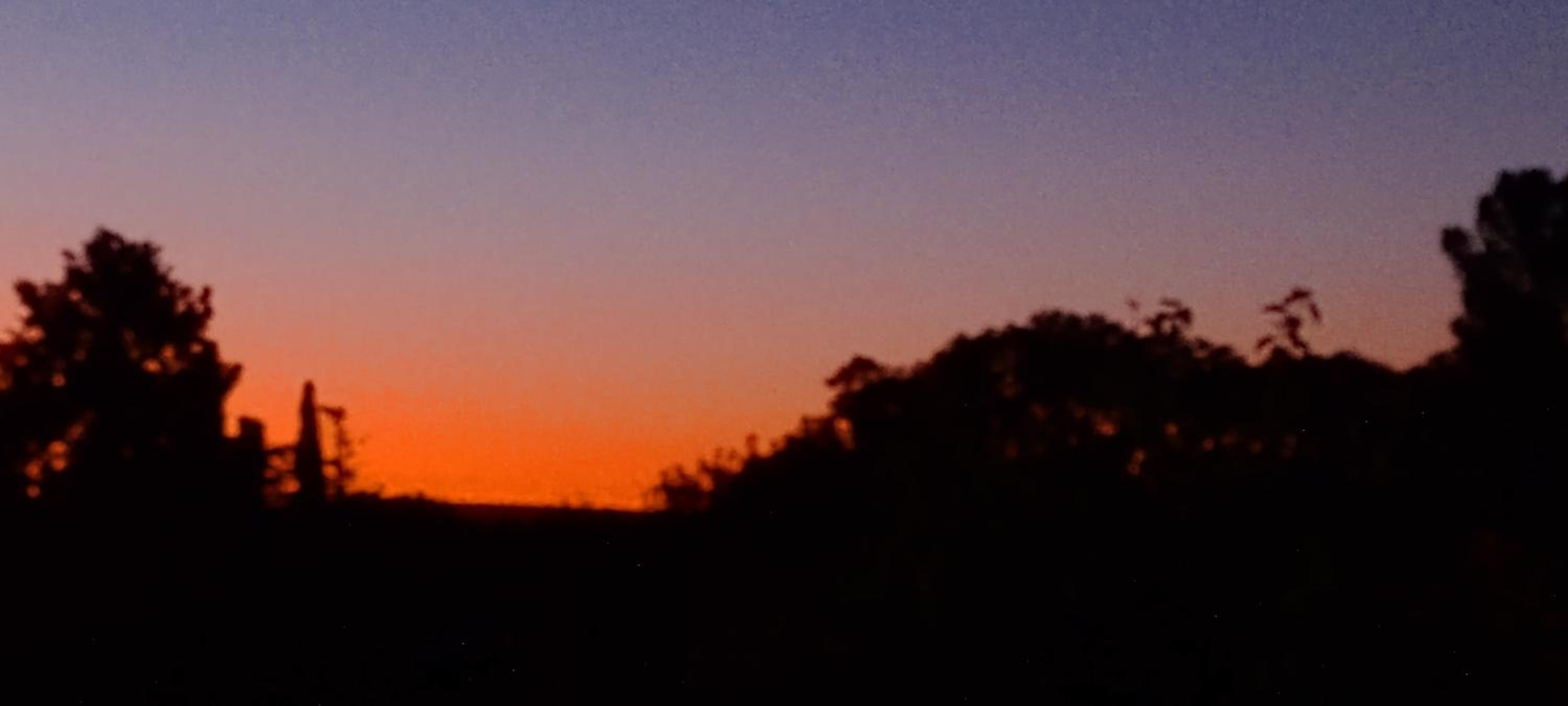 Ashram Asociación Argentina de Yoga