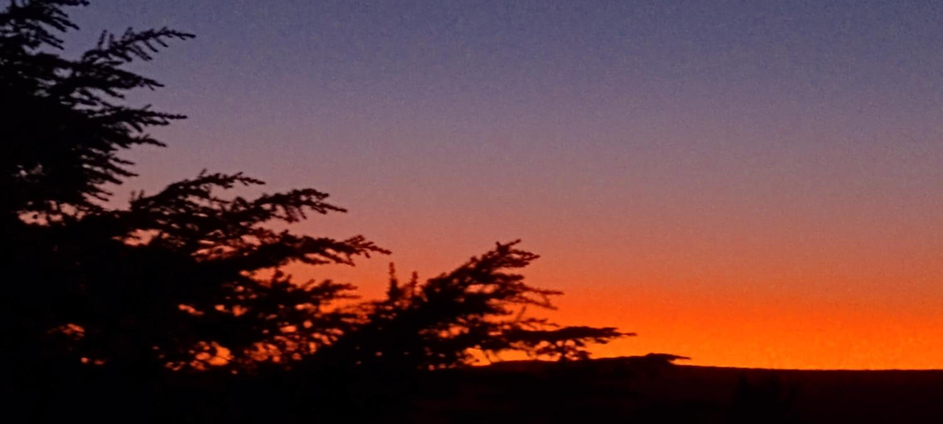 Ashram Asociación Argentina de Yoga