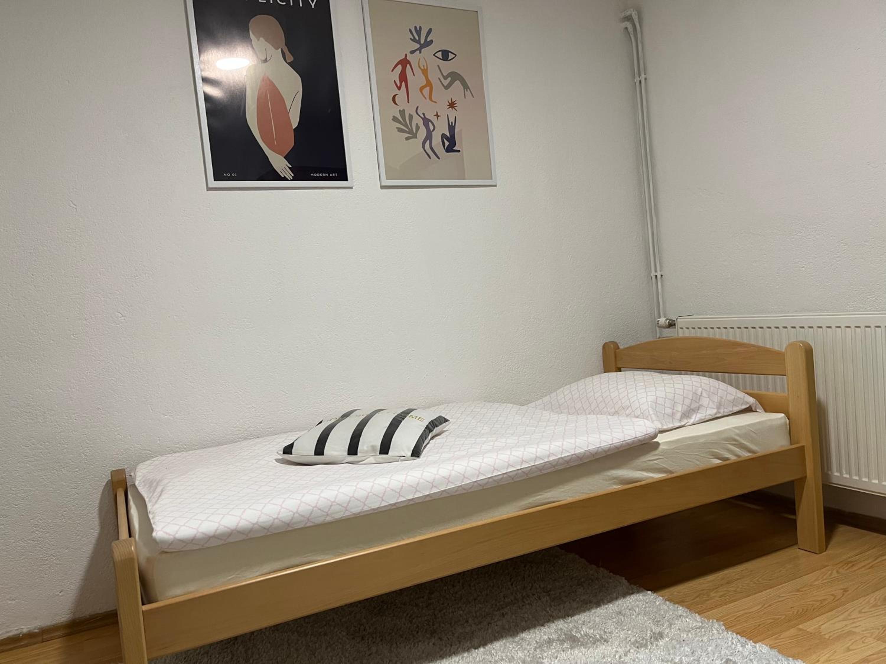 Apartman House Jasmina view 5