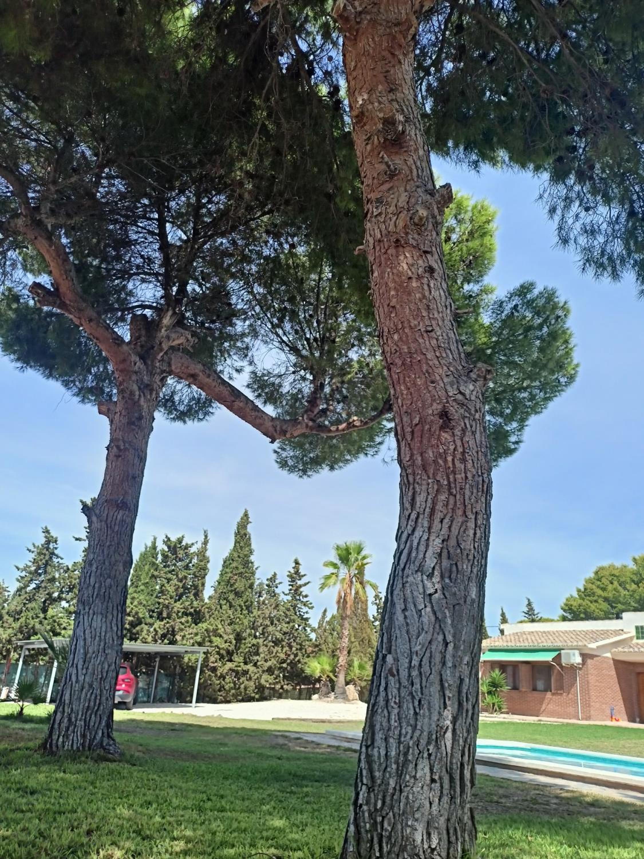 Photo 36