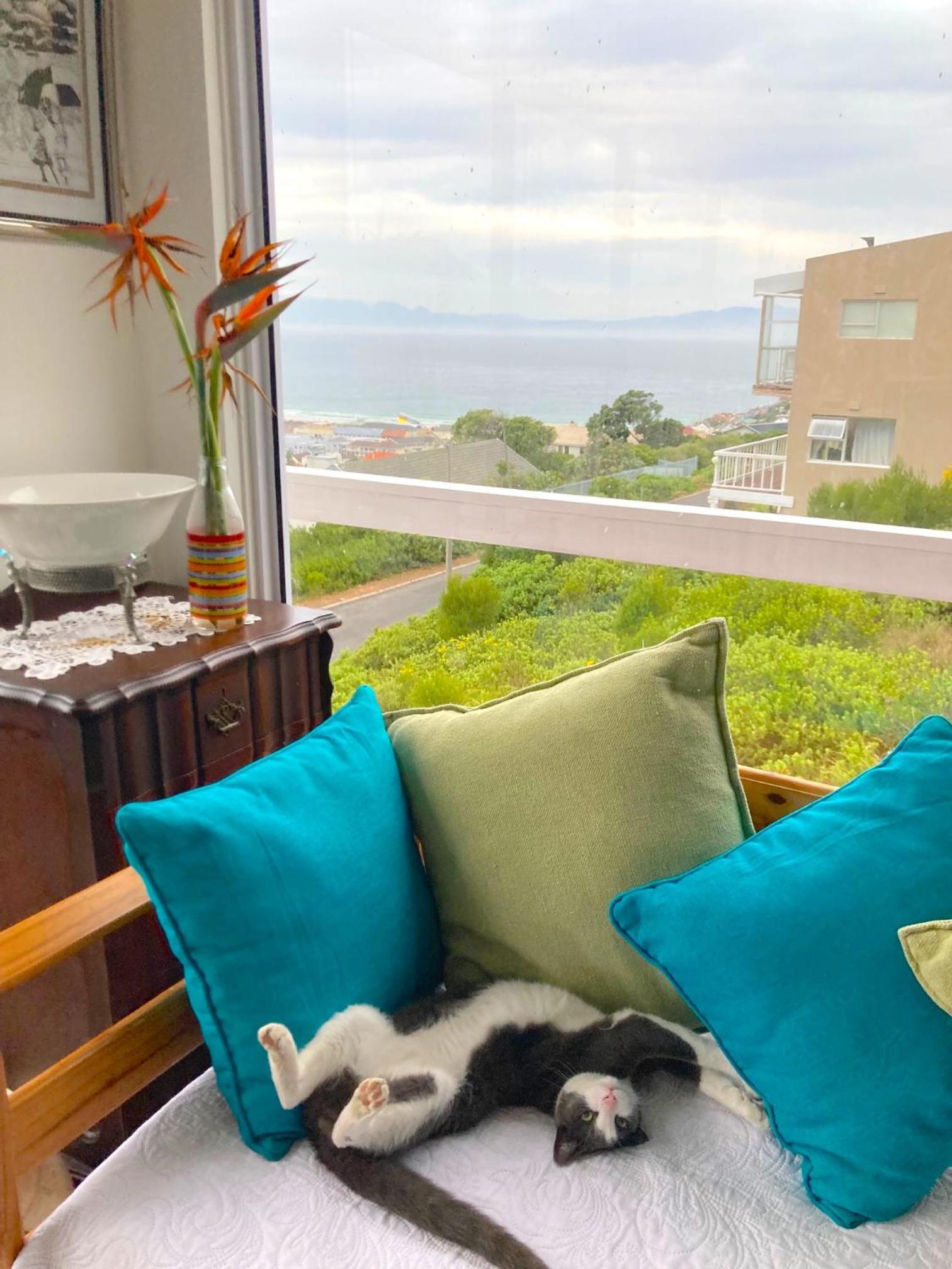 Two Oceans Artist's Home. view 2