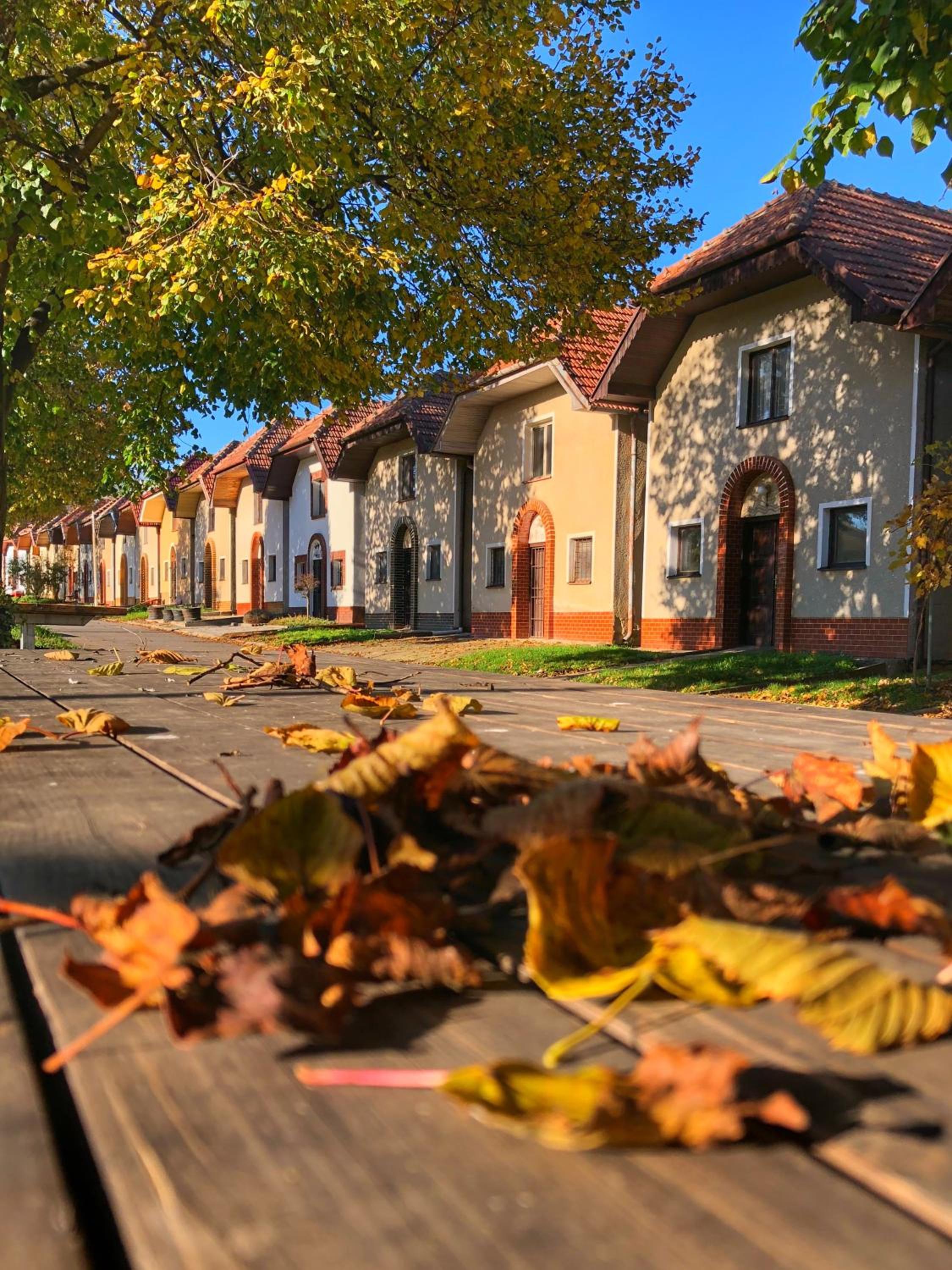 Čejkovský dvorek