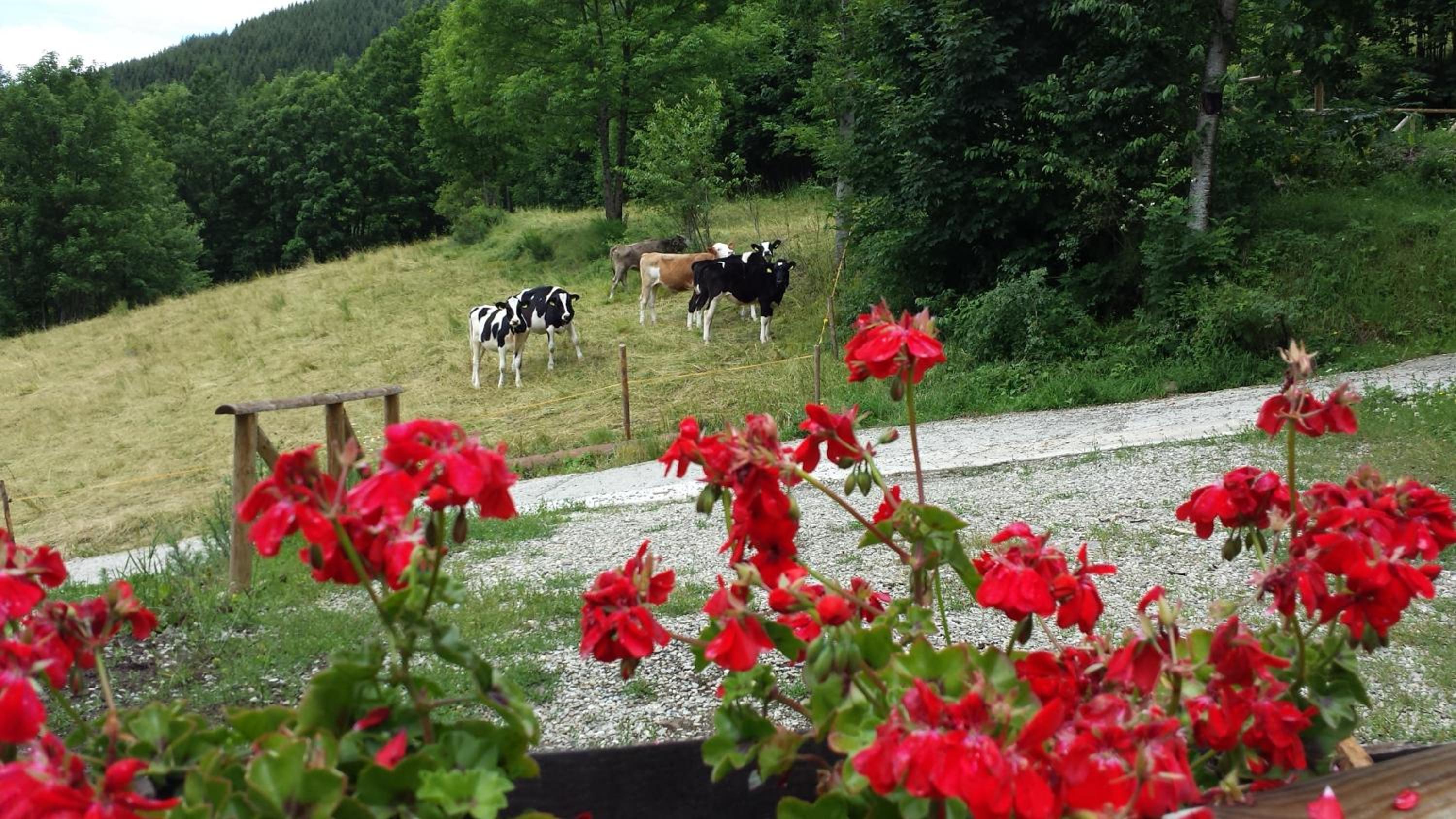 Il Borgo Dei Celti
