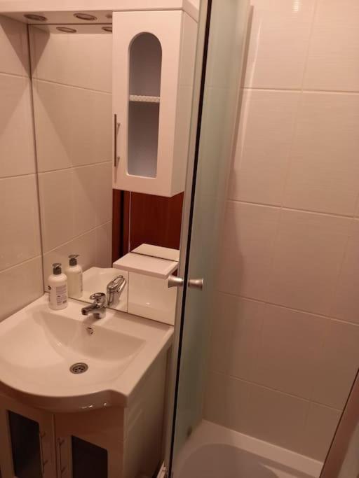 Ljupki studio apartman sa kaminom