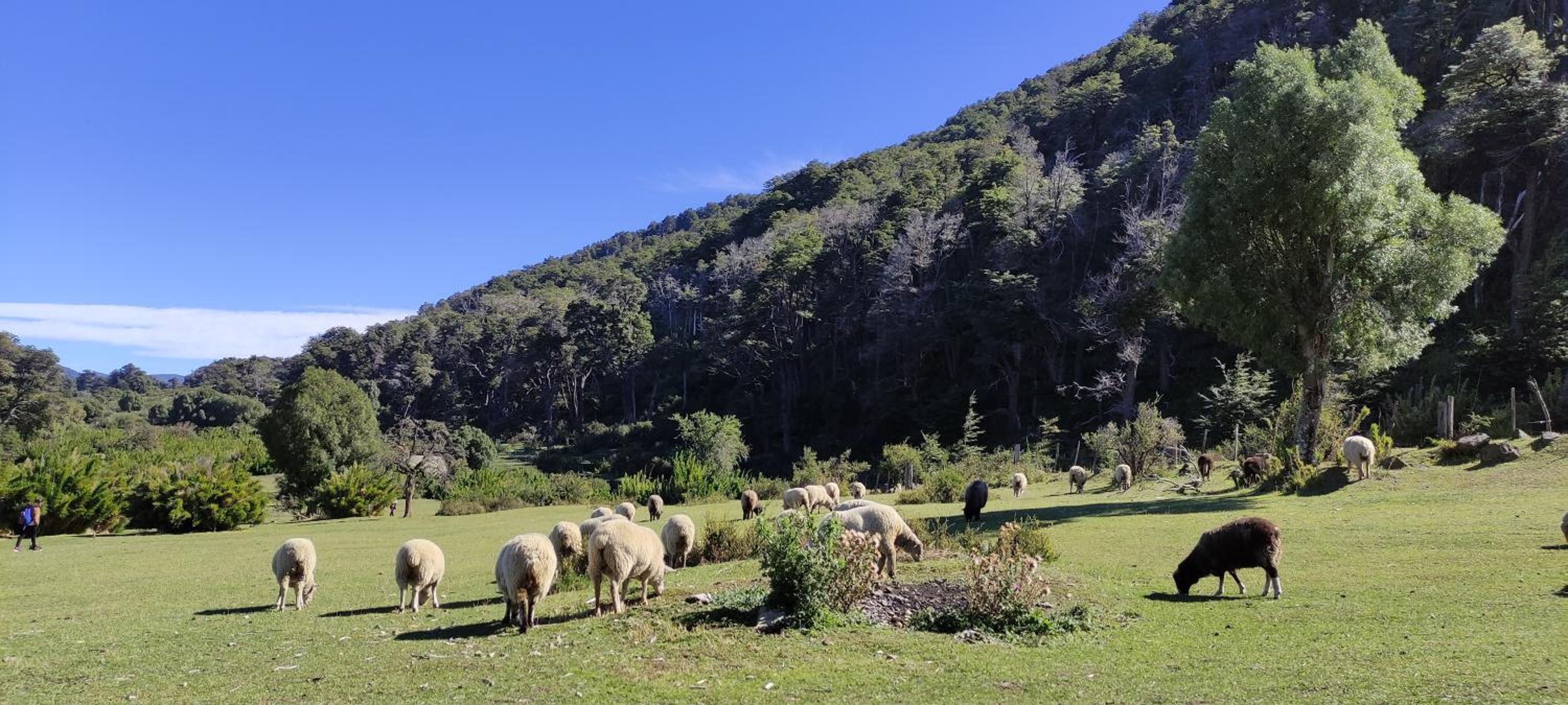 Cabaña Camalen