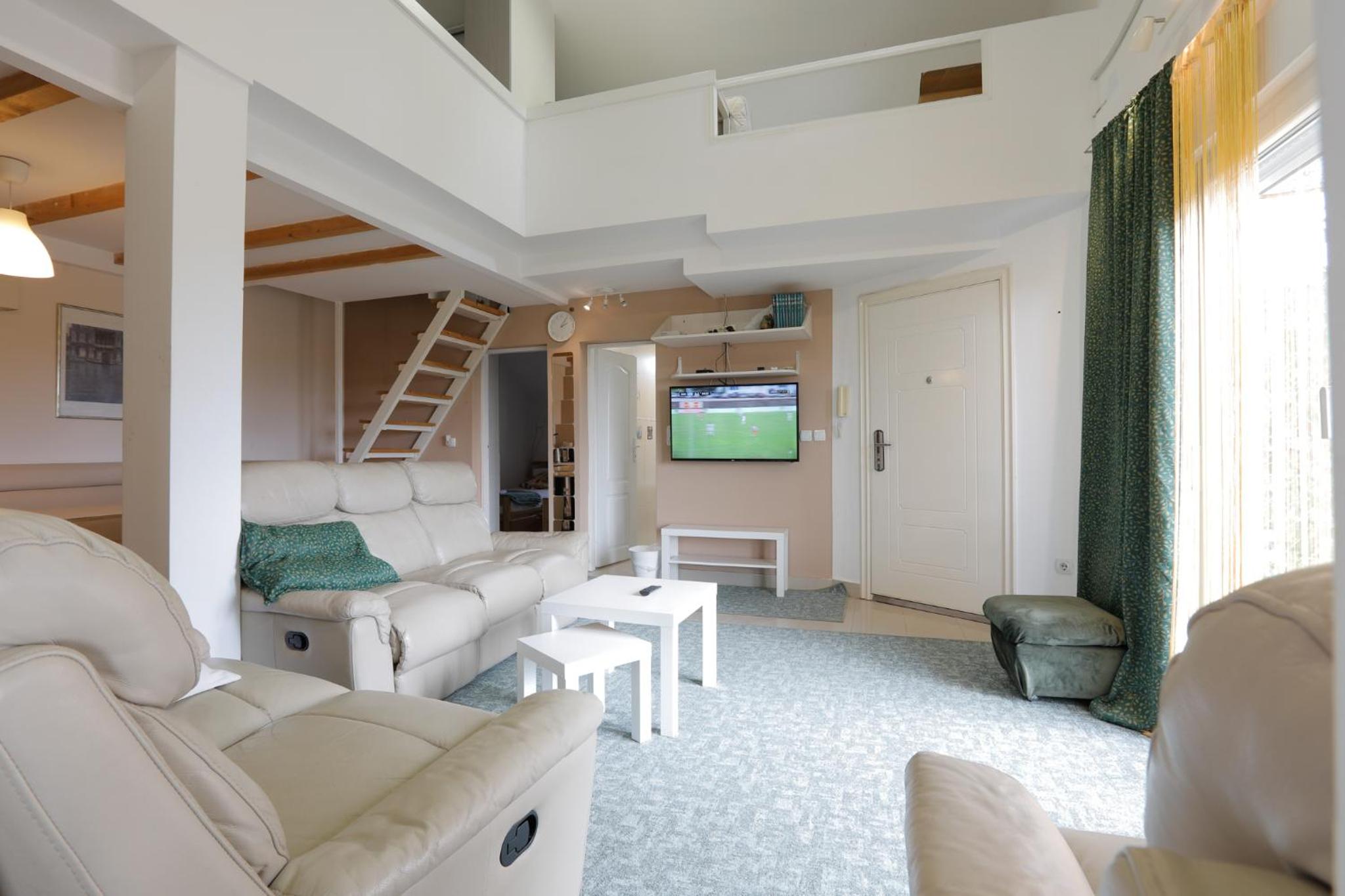 AVIATOR Apartments & Rooms Nikola Tesla Airport Belgrade view 3