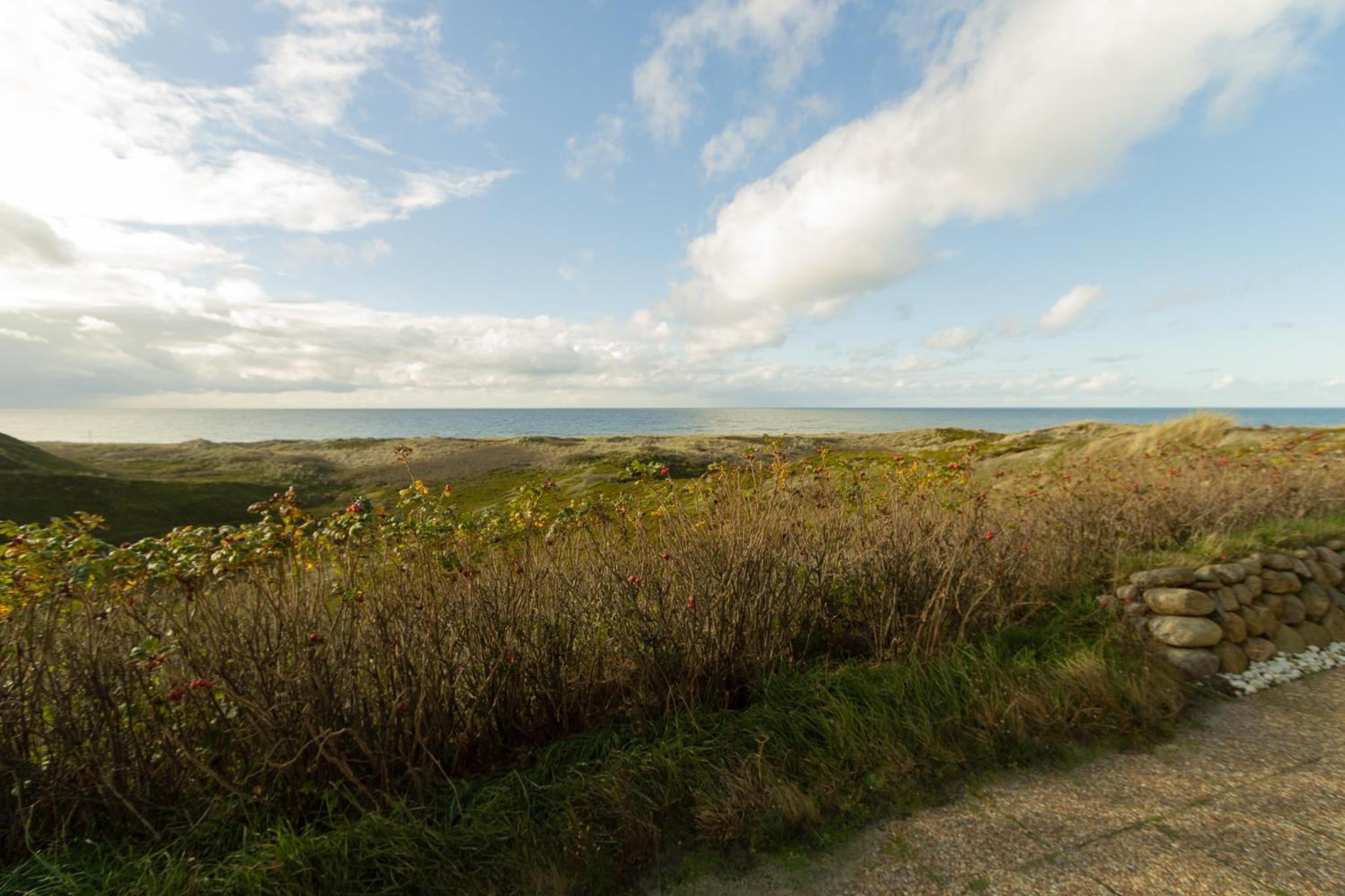 Stranddüne view 5