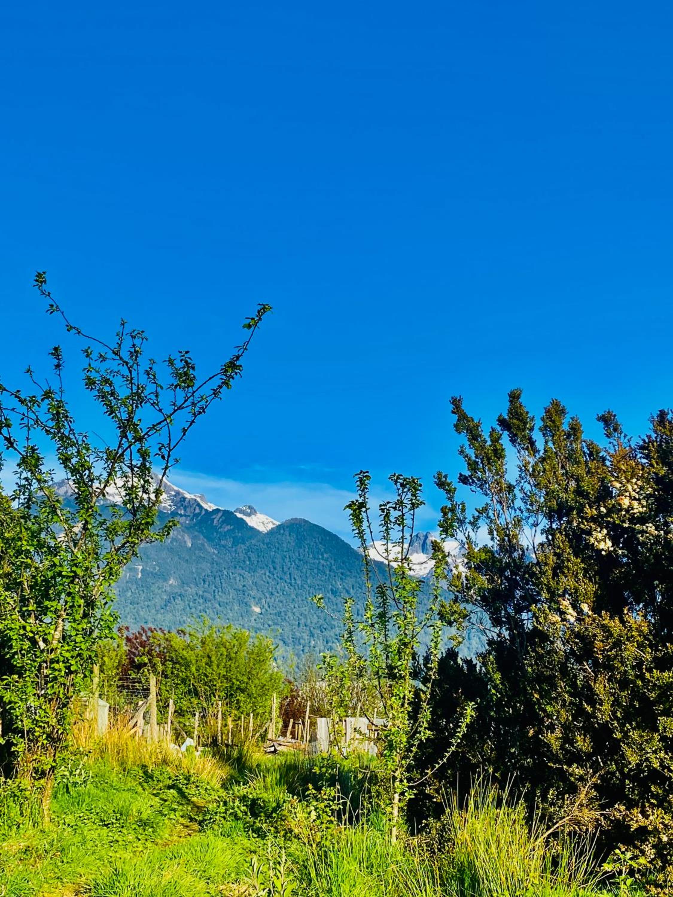 Rio Blanco