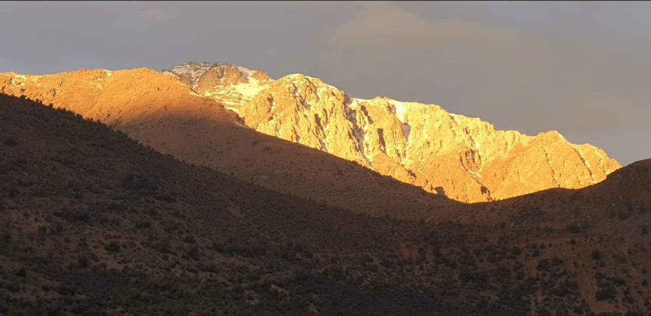 Refugio Cordillera Flora endógena Bosque Esclerófilo