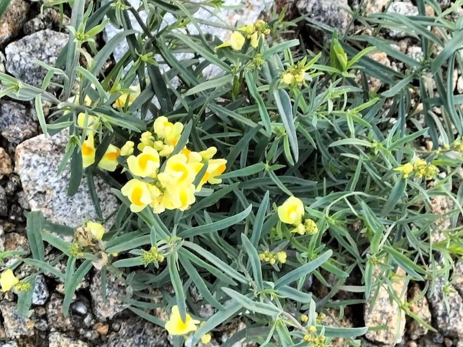 Longère Bretagne