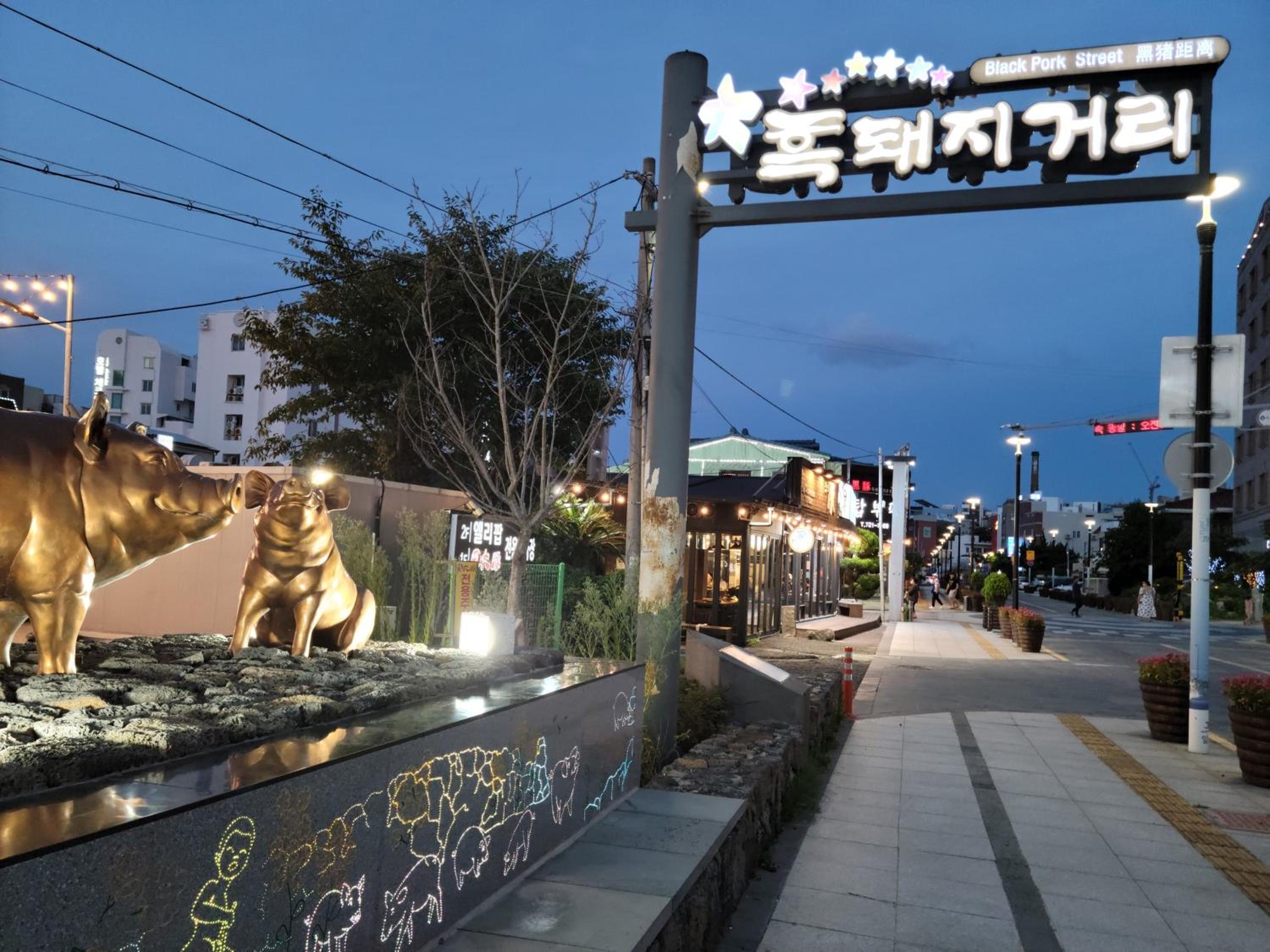 Jeju Vision House