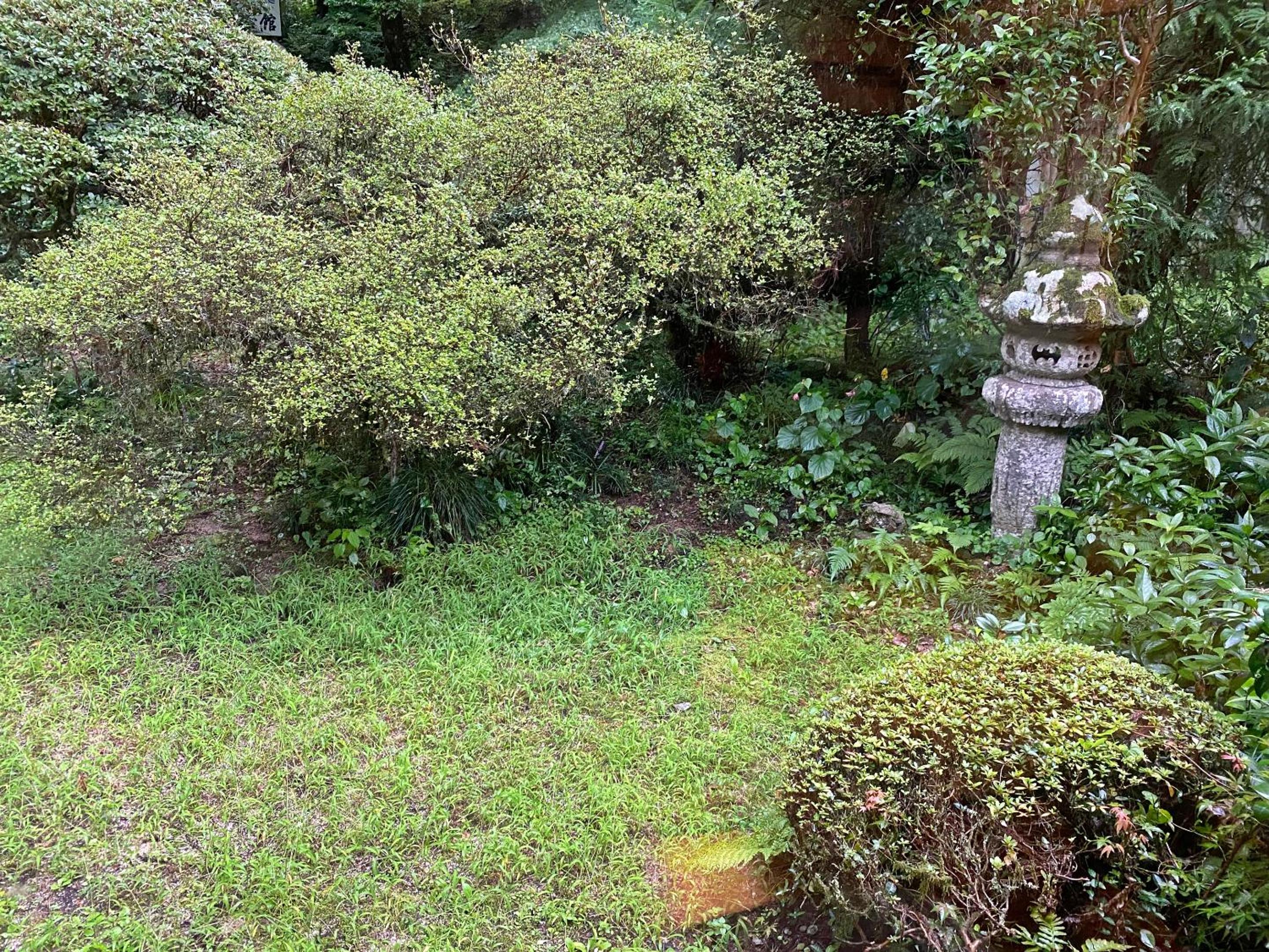 Photo 35