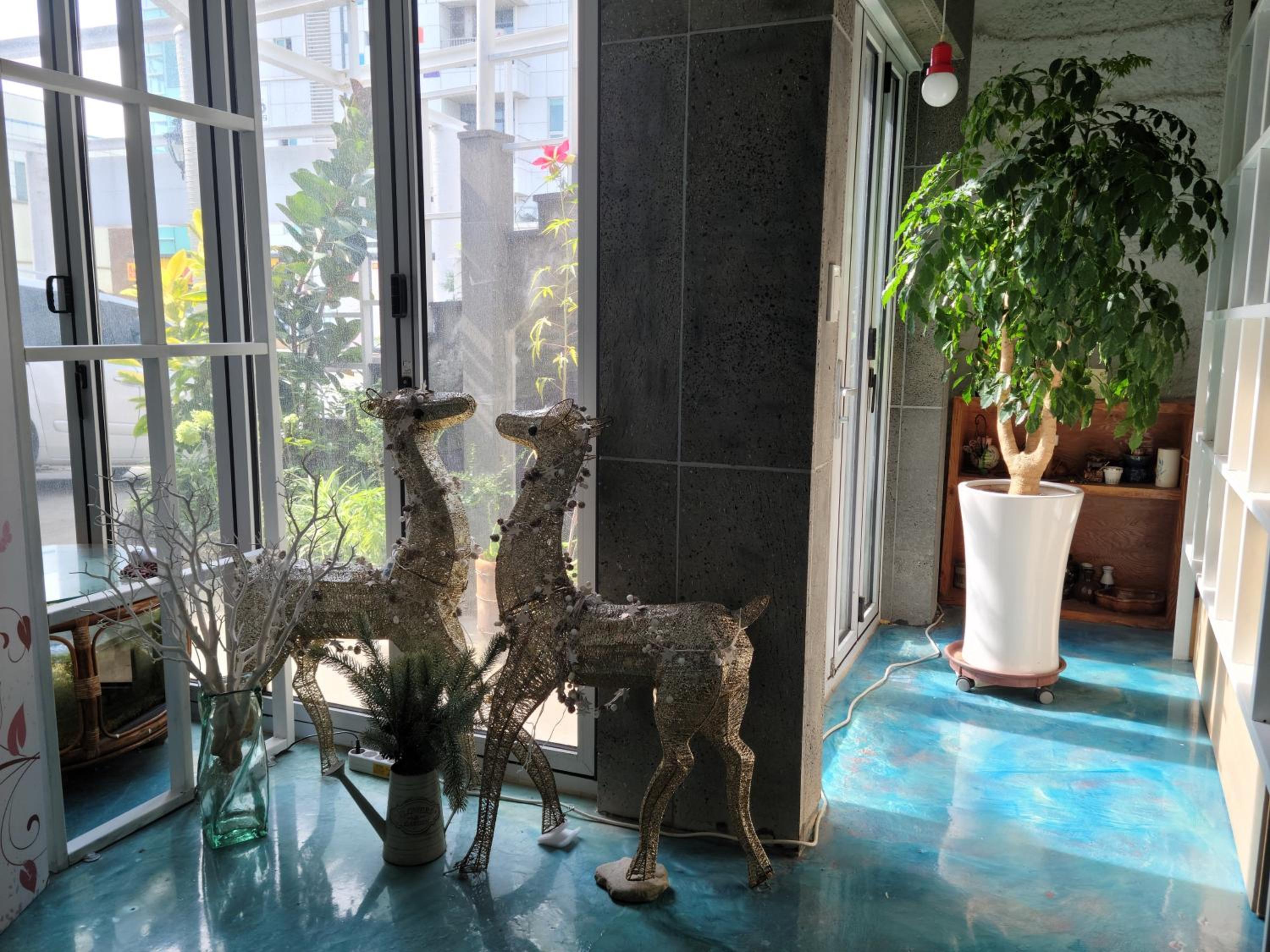 Jeju Vision House