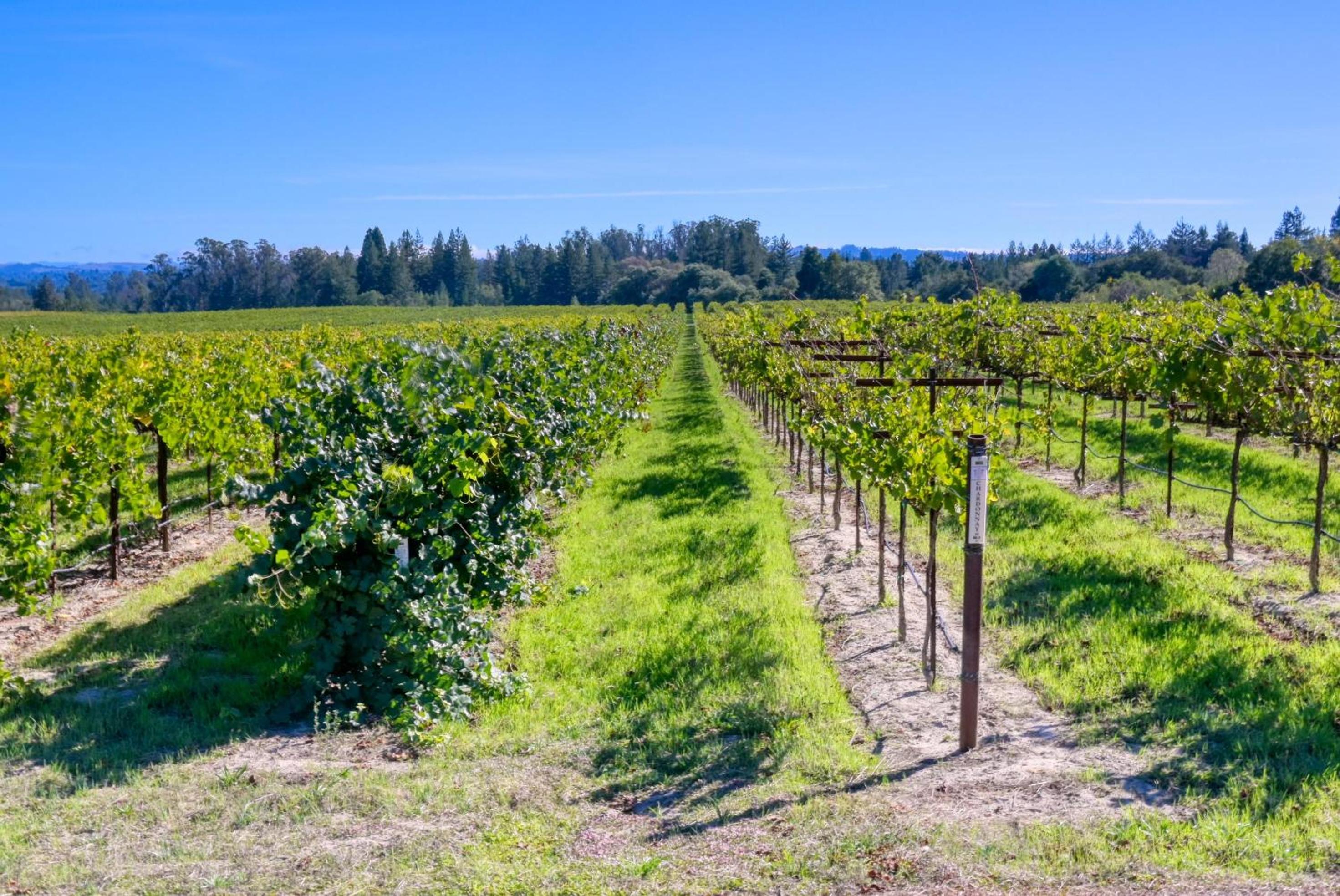 Moore Family Farmhouse - Wine Tastings Included