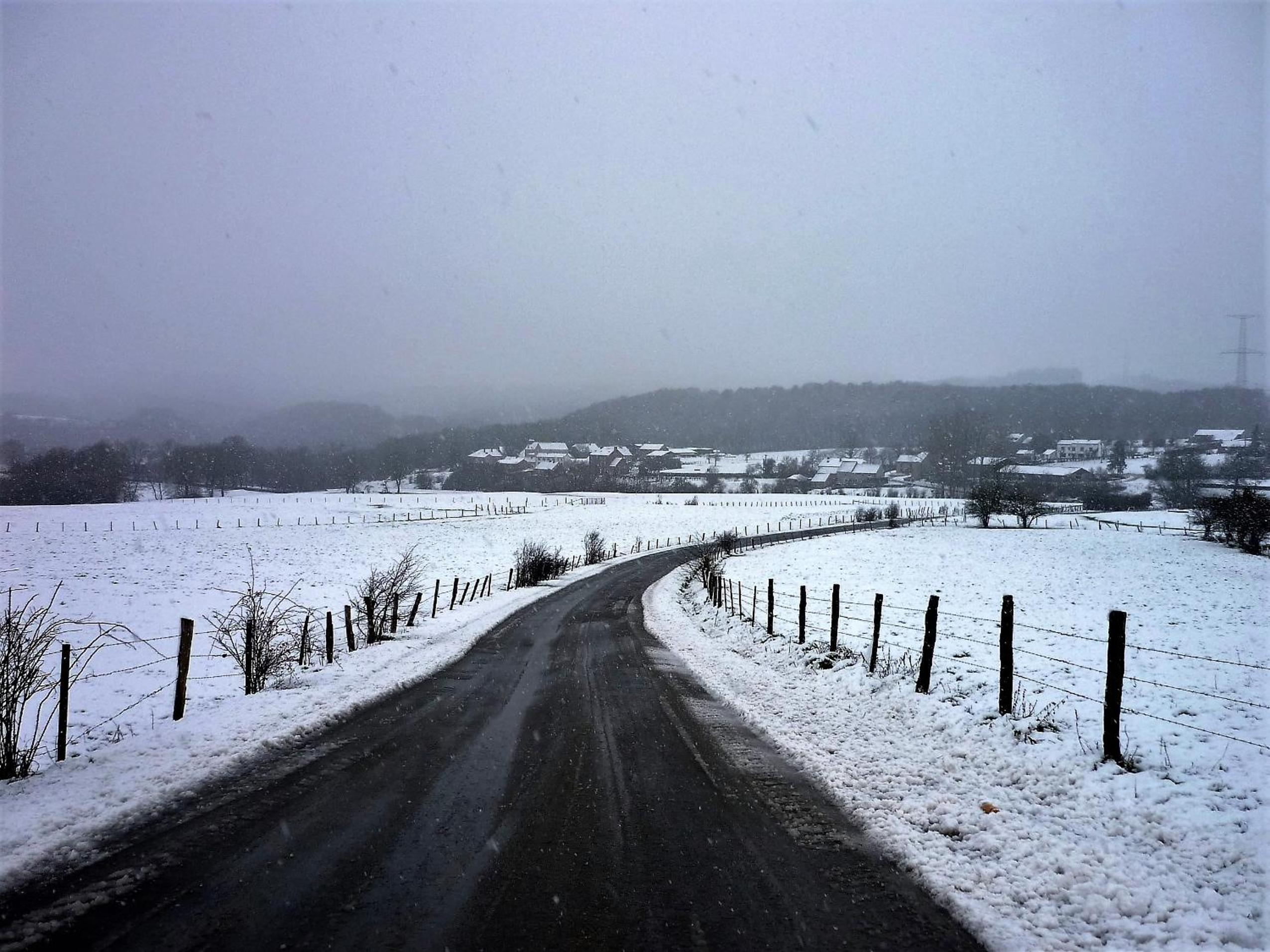 Photo 42