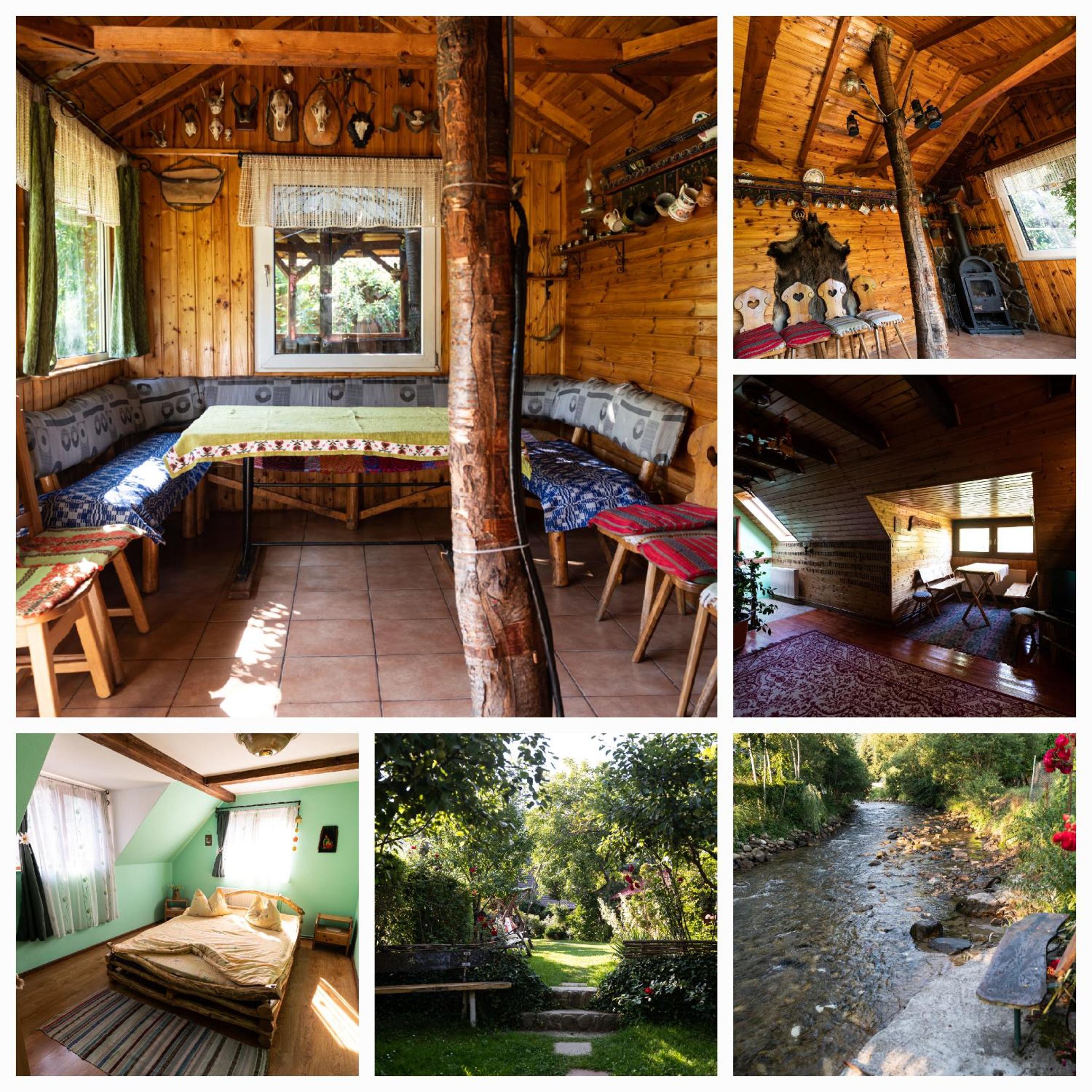 Casa de vacanta Vidrighin view 2