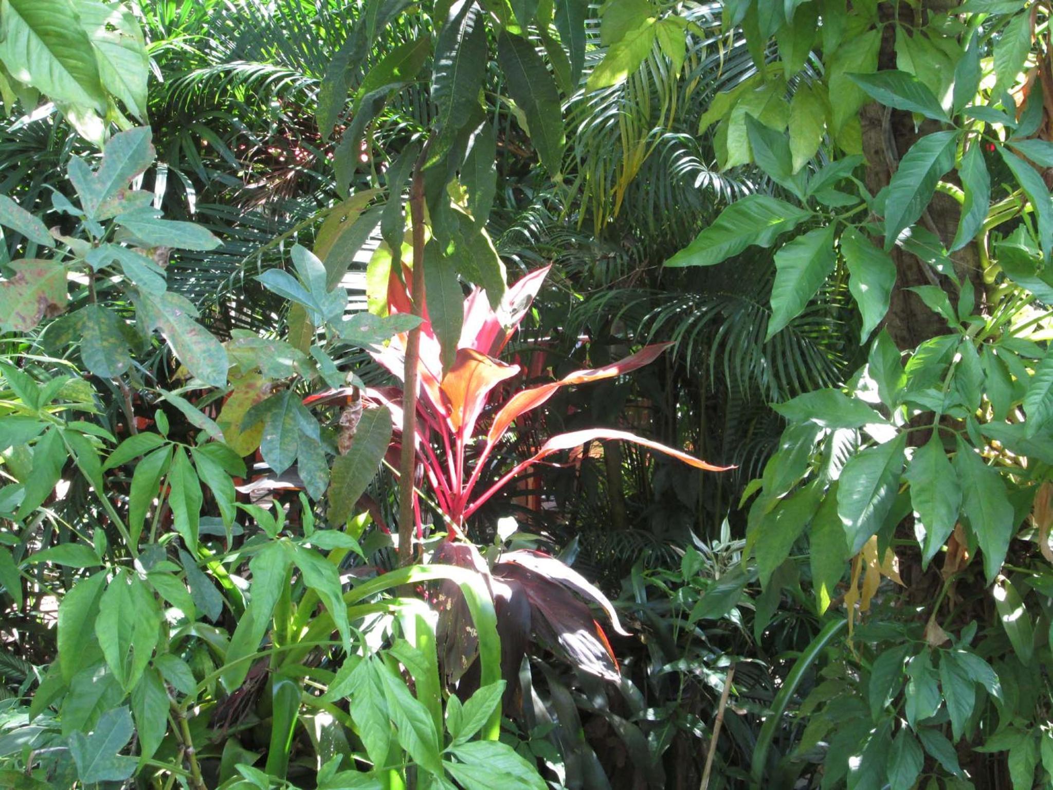 Photo 50