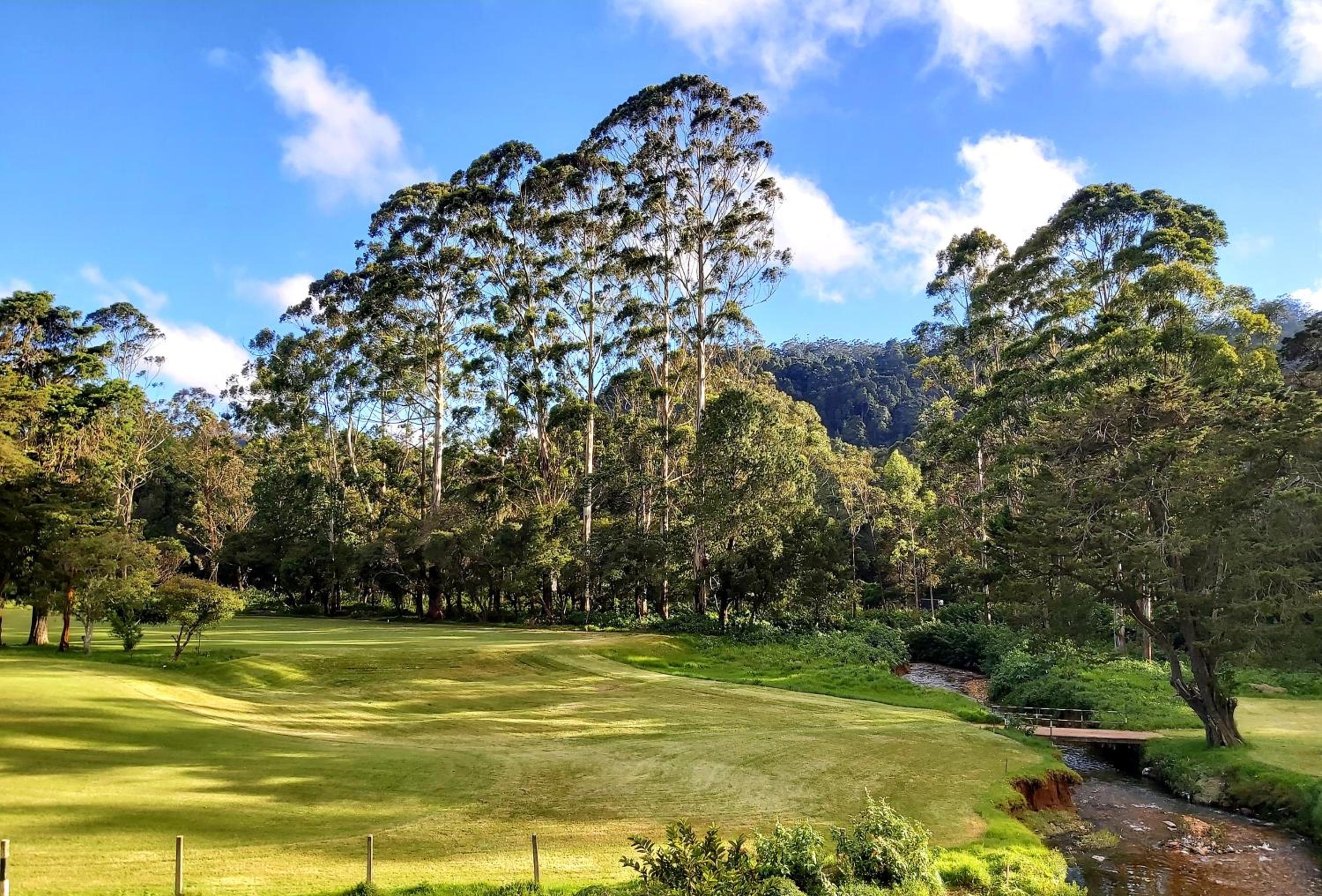 Oak Ray Golf Green view 5