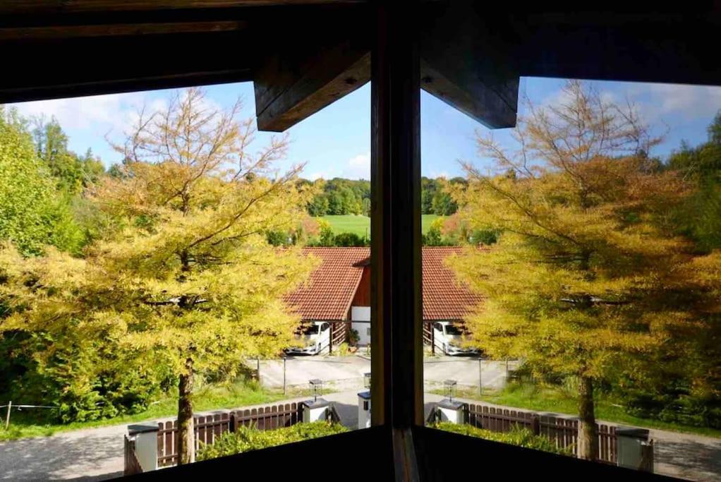 whole villa Munich, Alps view, Quiet and spacious