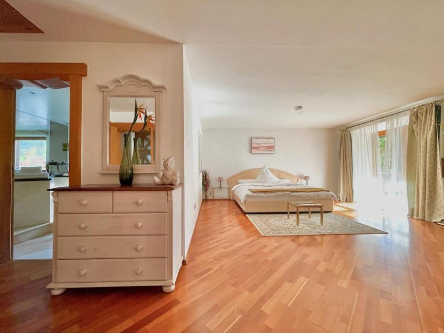 whole villa Munich, Alps view, Quiet and spacious