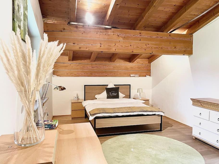 whole villa Munich, Alps view, Quiet and spacious