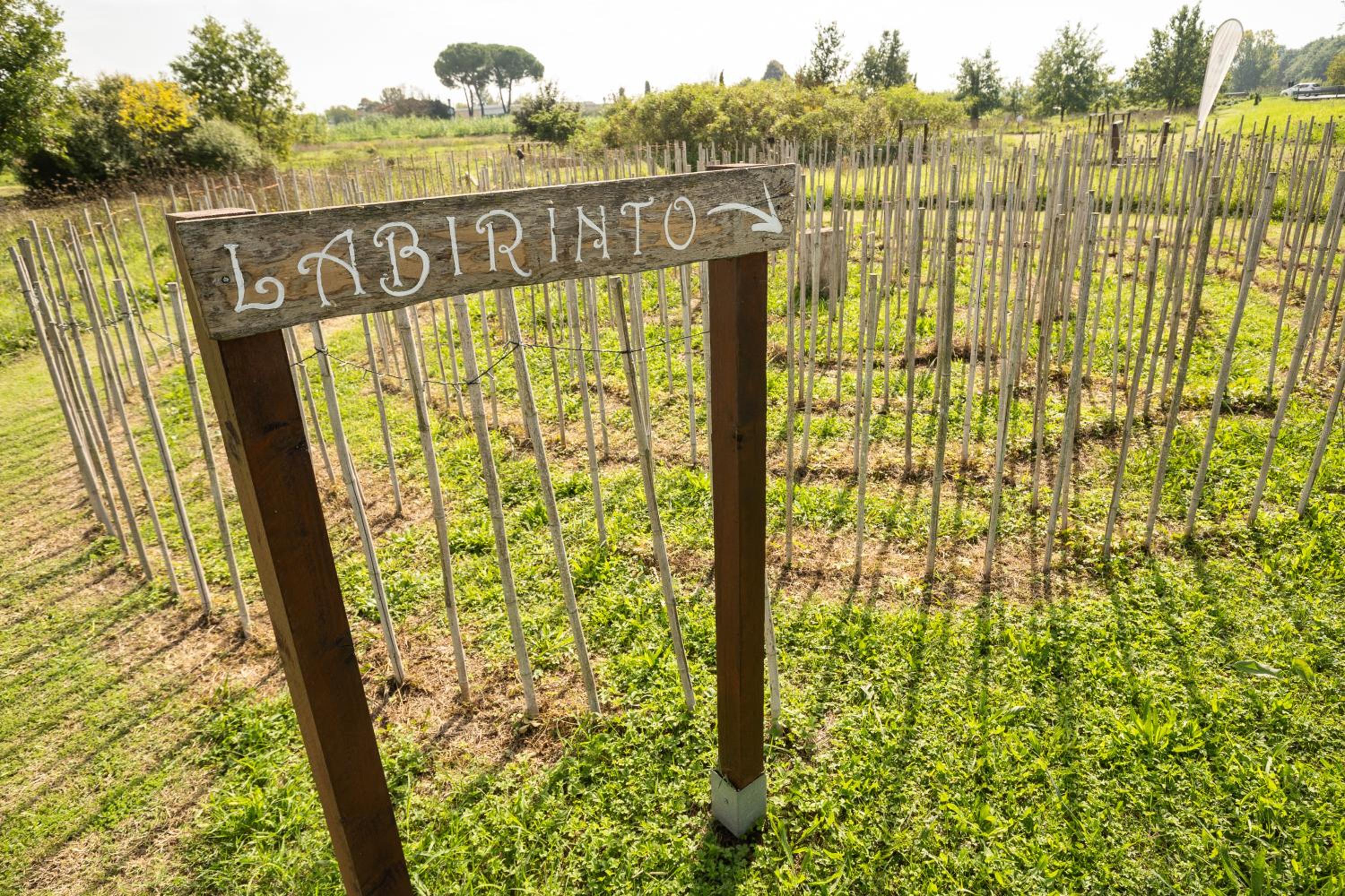 Incanto Toscano