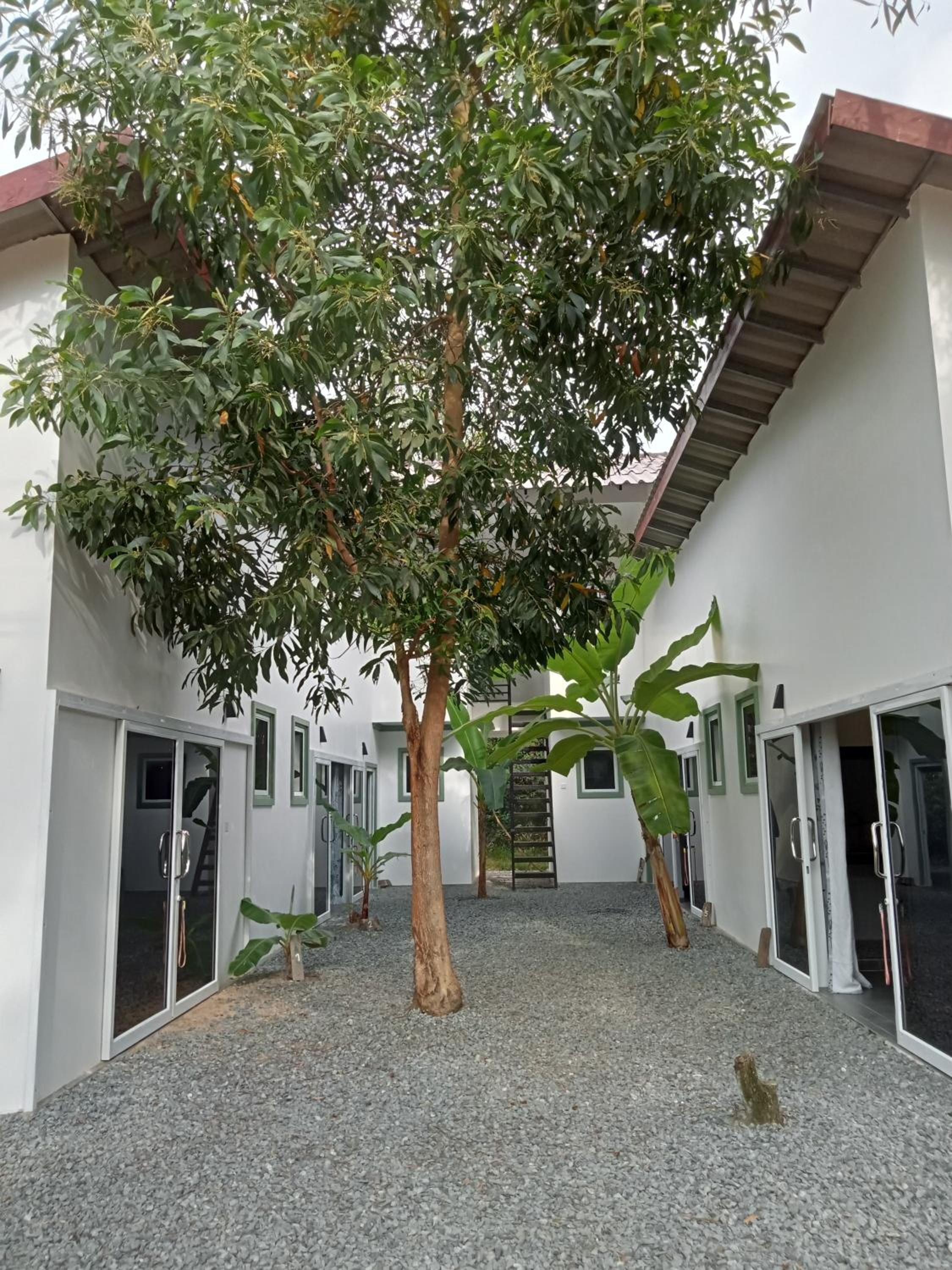 Little Escape Guesthouse Nesat view 2