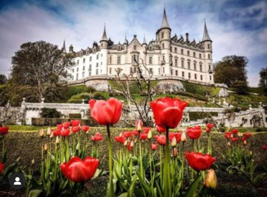 Frasers Apartment