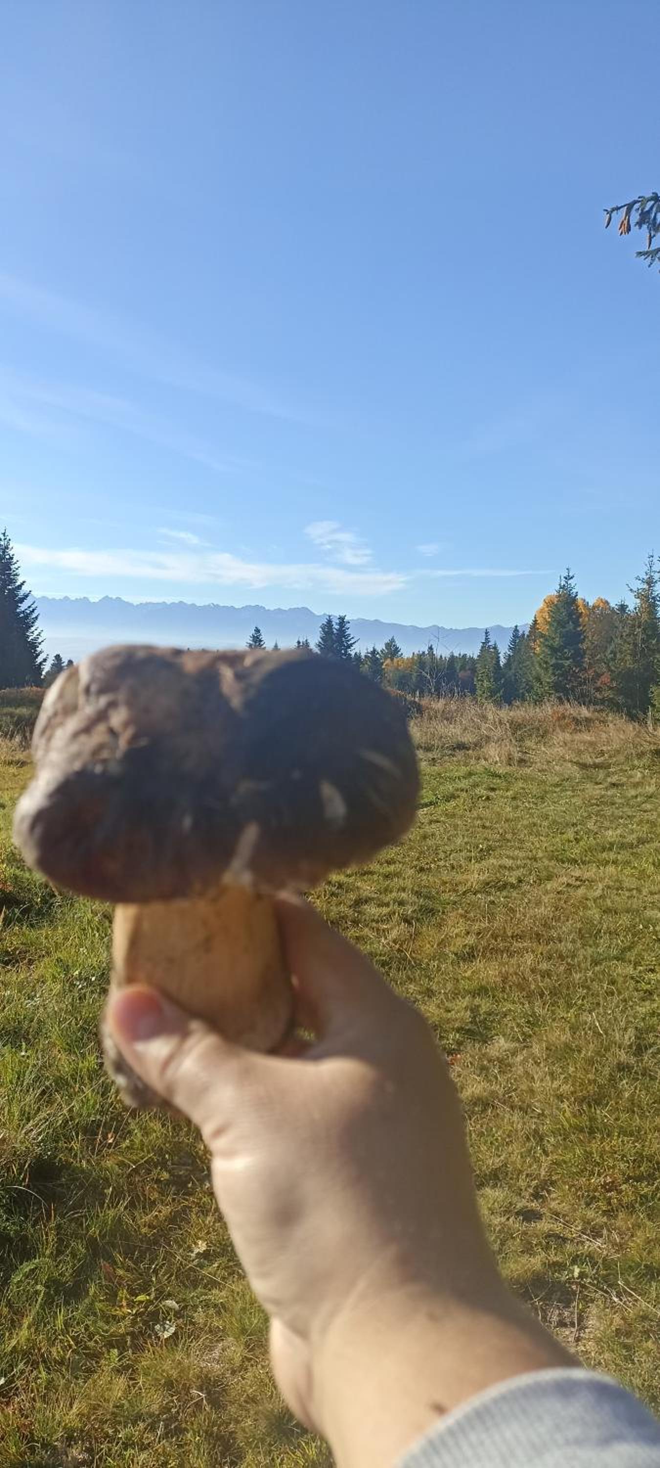 Gościniec Dziubasowki view 4
