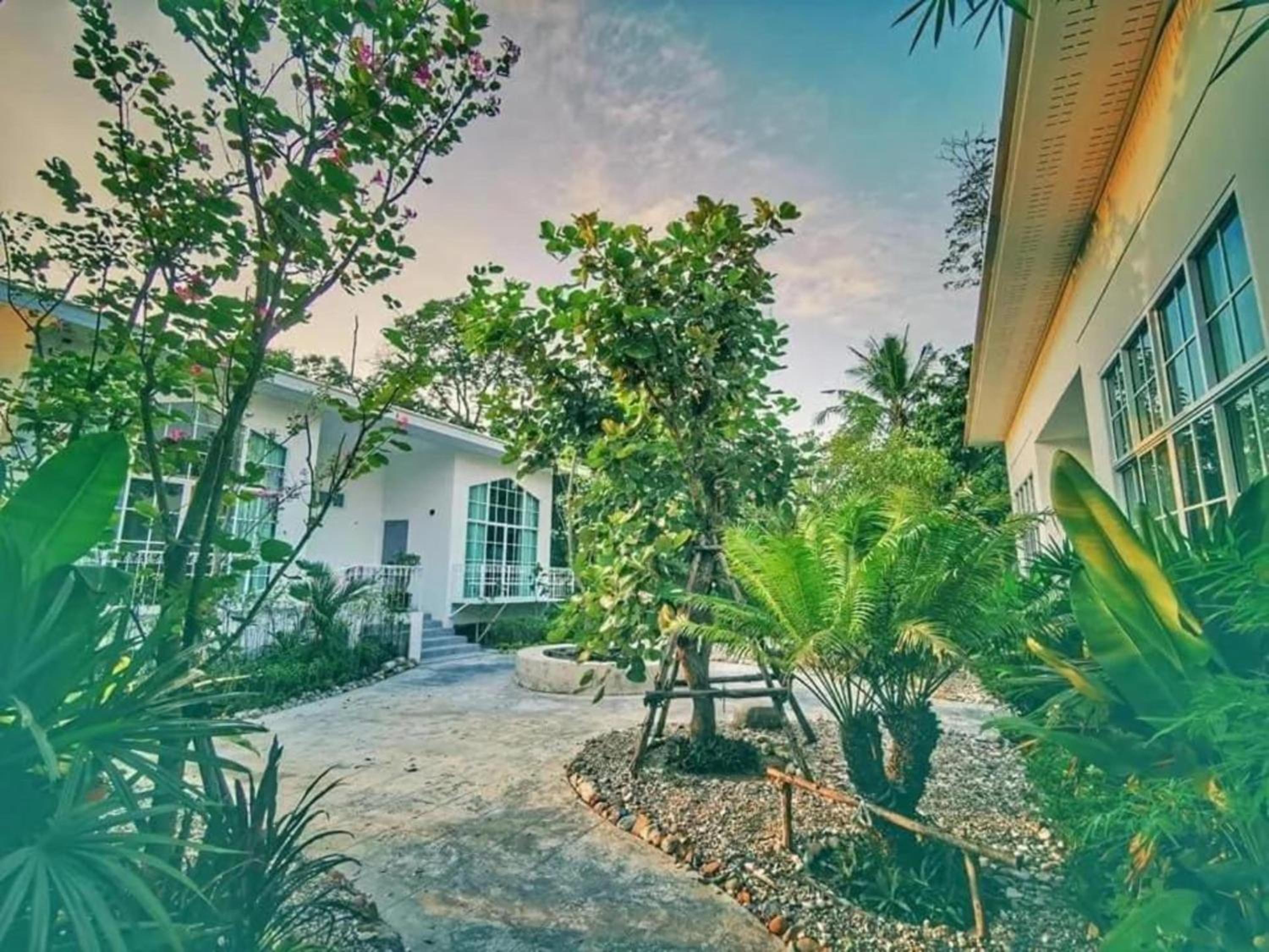 garden