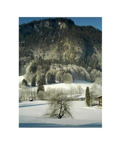 Falkenstein-Wohnung-4-Haus-B