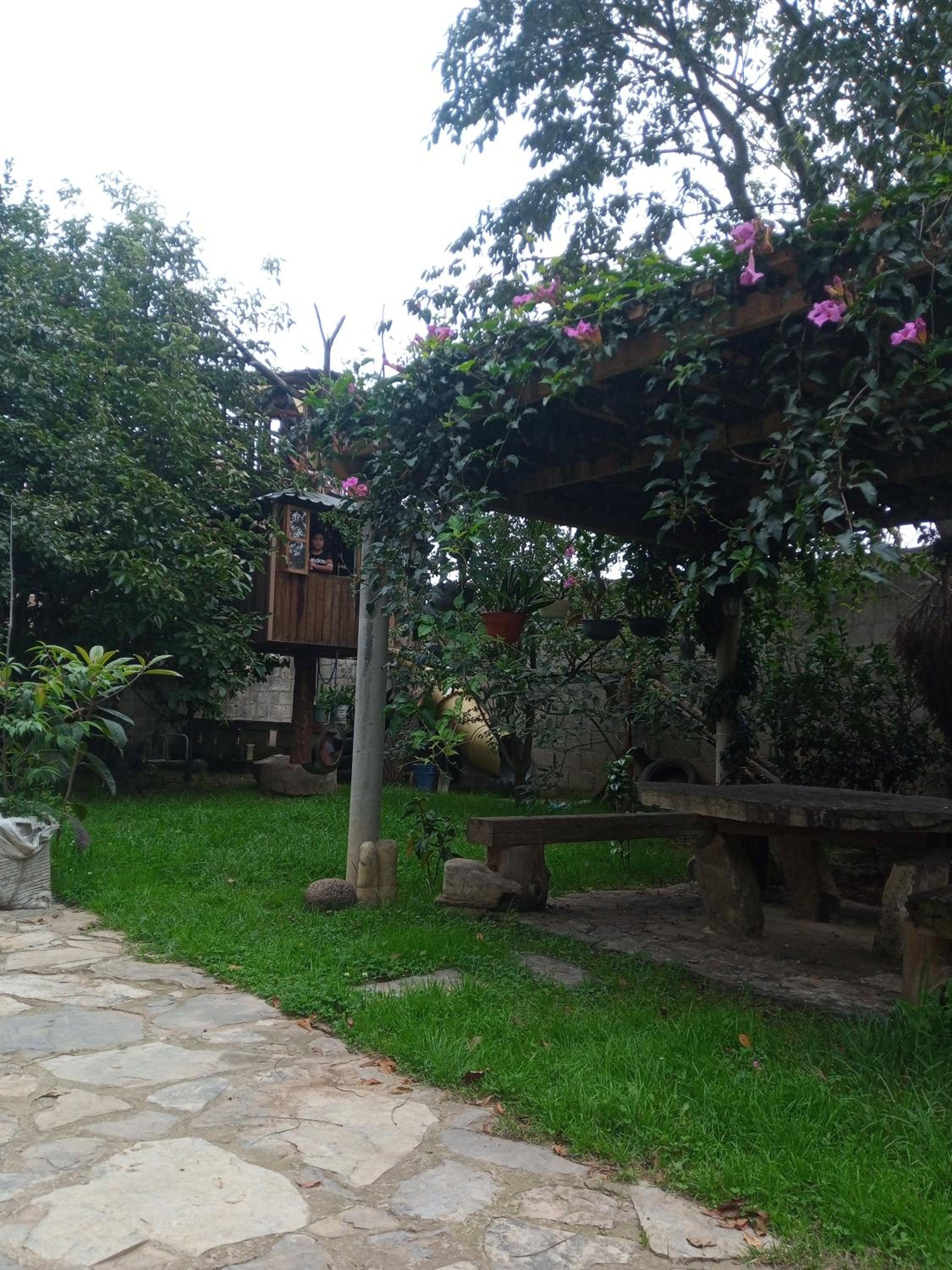 Hotel La casa de las flores - Image 1