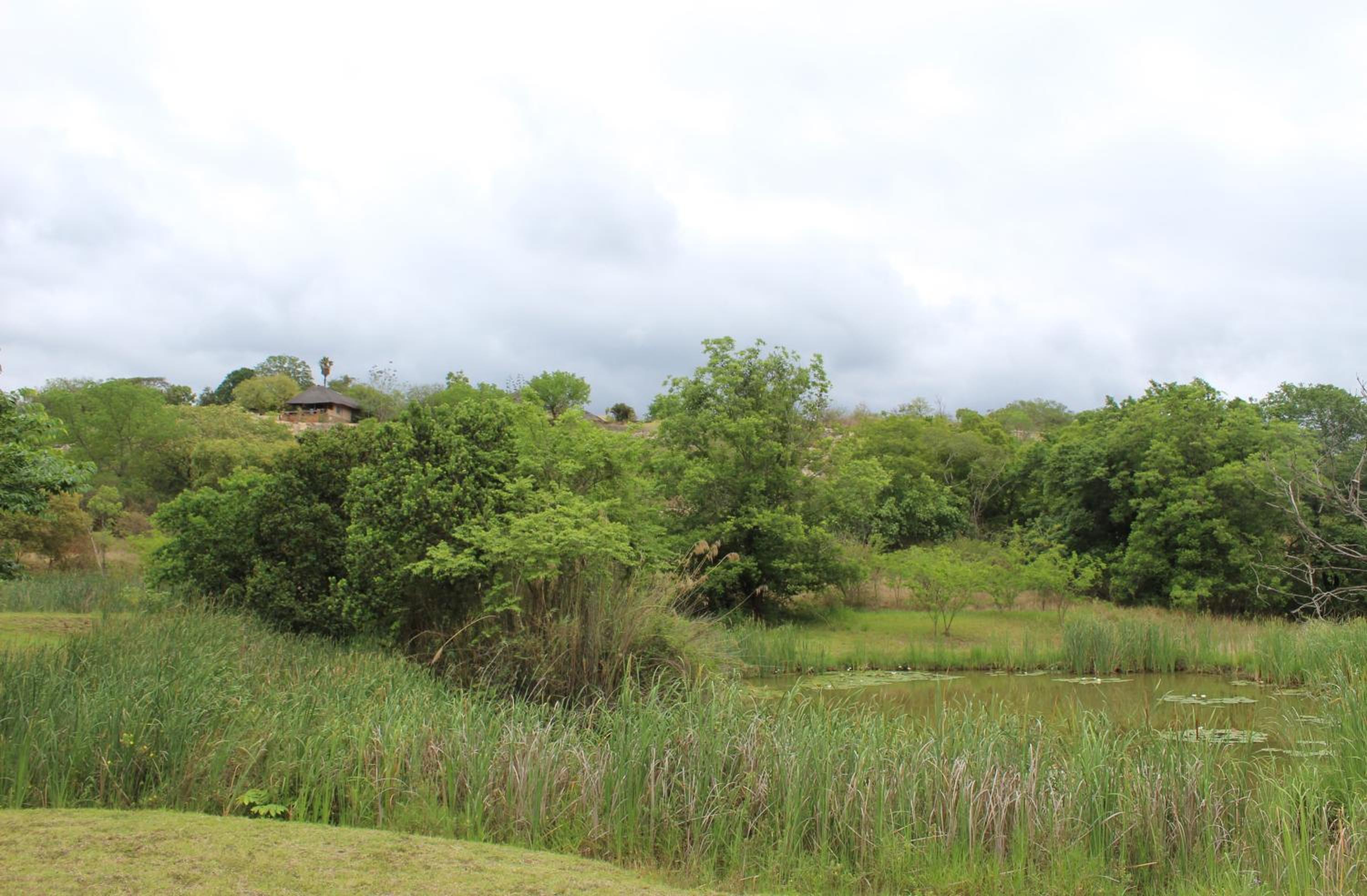 Hazyview Vacations - Lions Rock Rapids - Luxury Tented Camp - Property Image 37