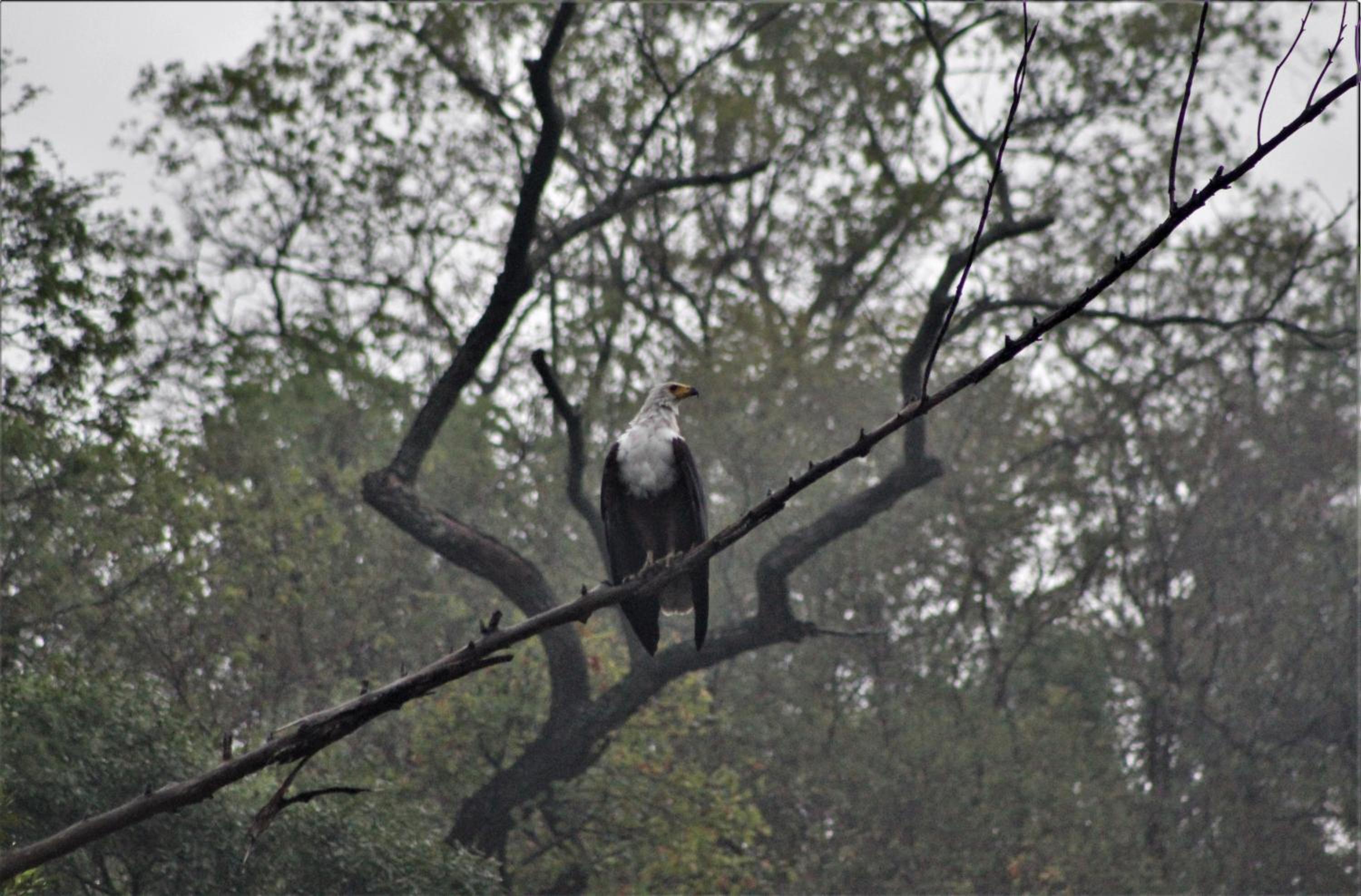 Hazyview Vacations - Lions Rock Rapids - Luxury Tented Camp - Property Image 40