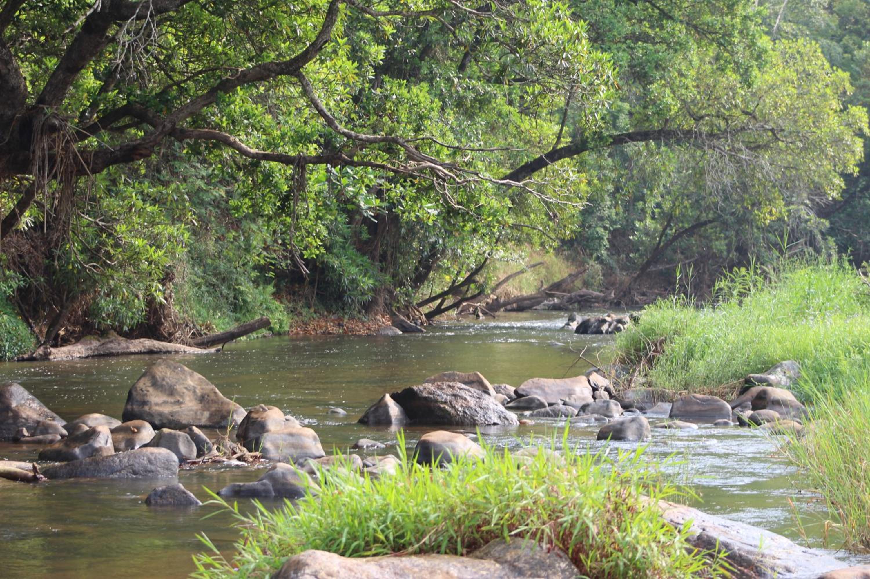 Hazyview Vacations - Lions Rock Rapids - Luxury Tented Camp - Property Image 48