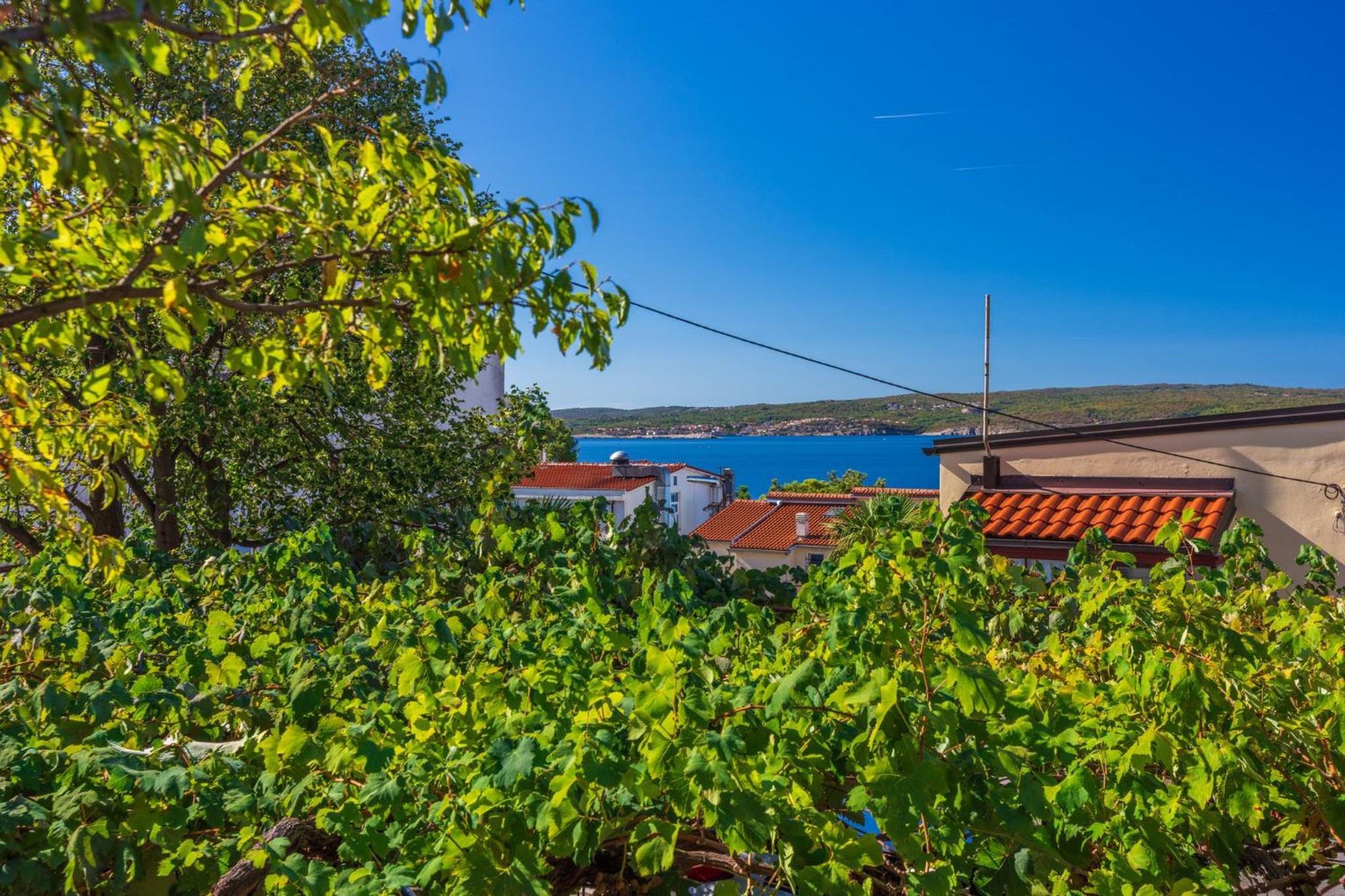 DAGON 2 photo 2