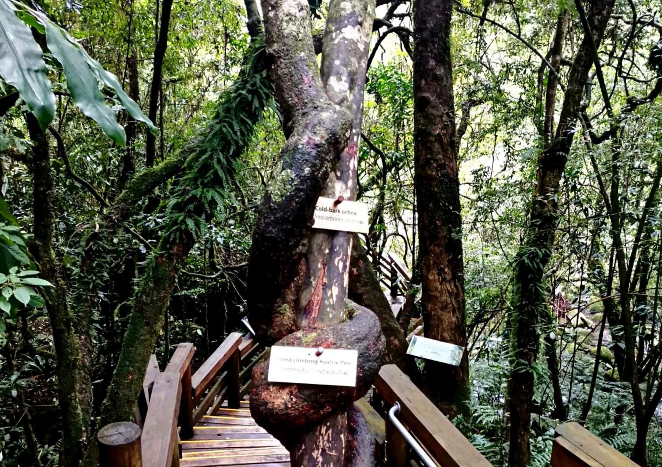 Hazyview Vacations - Lions Rock Rapids - Luxury Tented Camp - Property Image 57