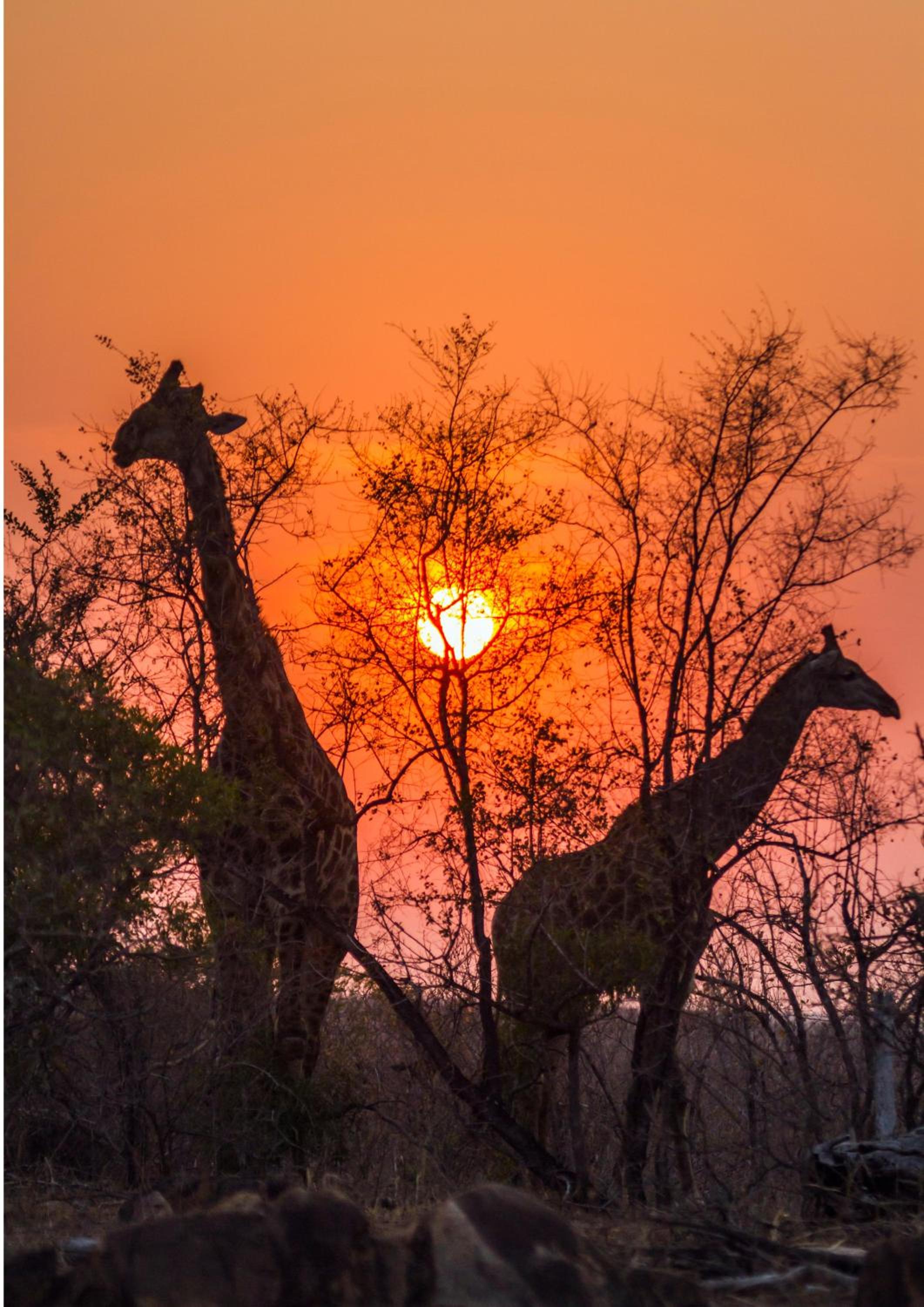 Hazyview Vacations - Lions Rock Rapids - Luxury Tented Camp - Property Image 112