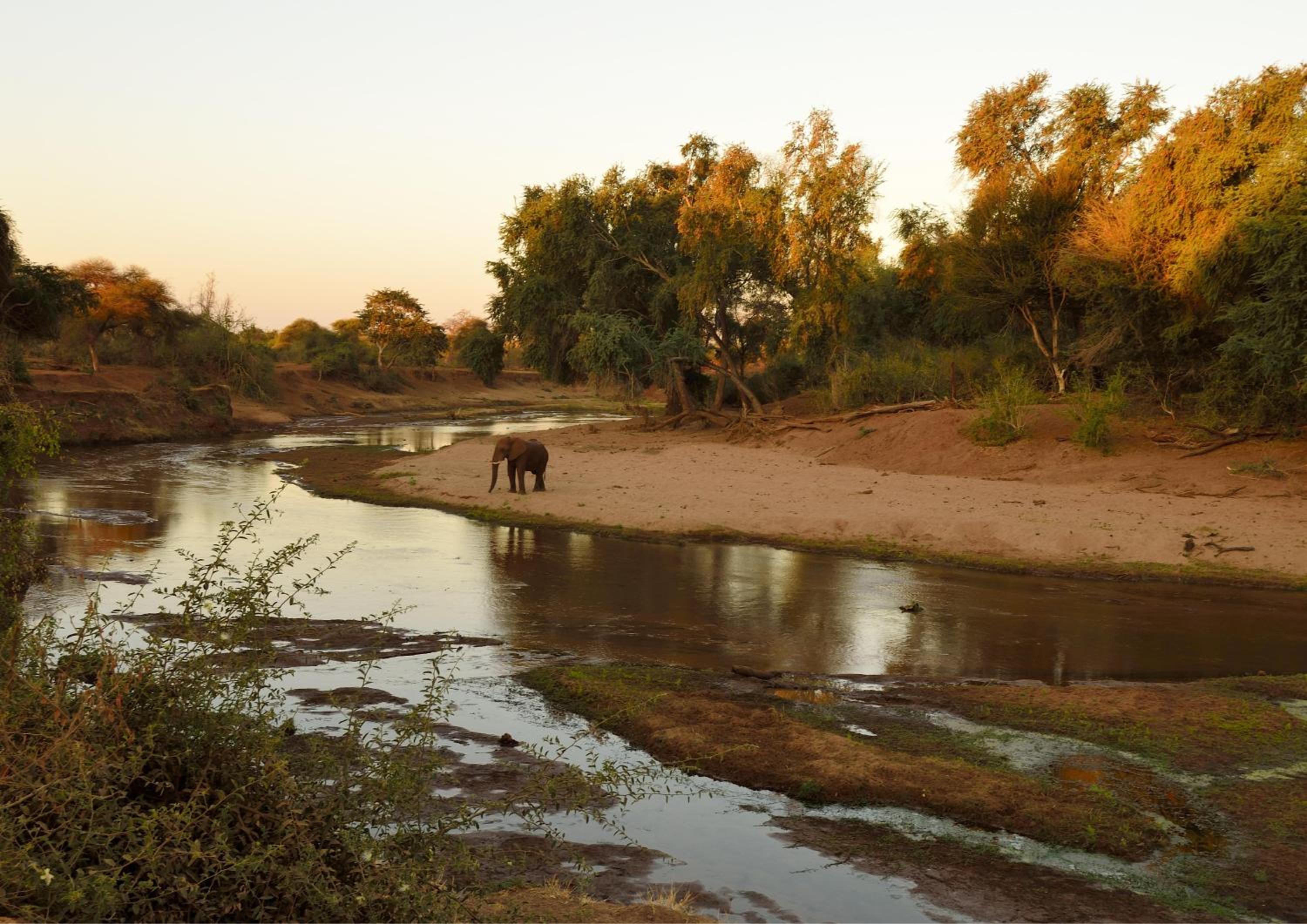 Hazyview Vacations - Lions Rock Rapids - Luxury Tented Camp - Property Image 117