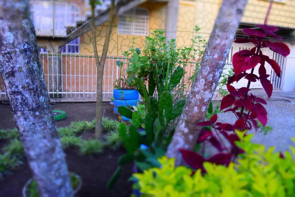 Casa familiar y agradable, parqueadero y BBQ