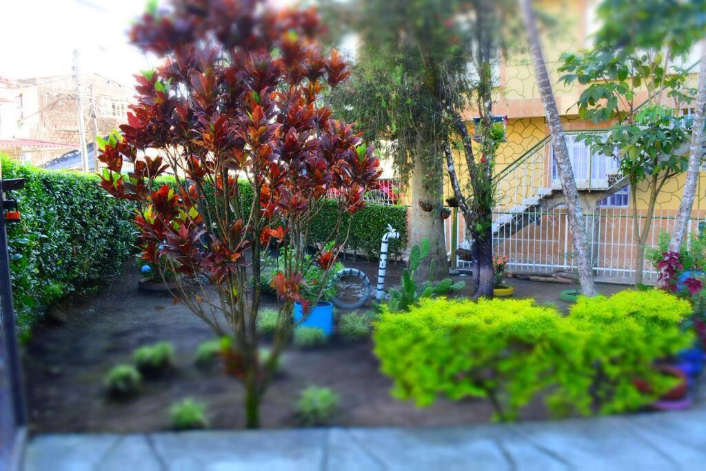 Casa familiar y agradable, parqueadero y BBQ