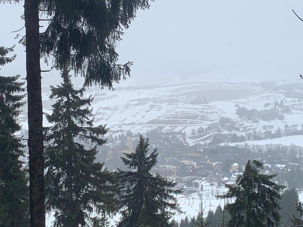 FeWo Bergblick - Oberwiesenthal - Property Image 28