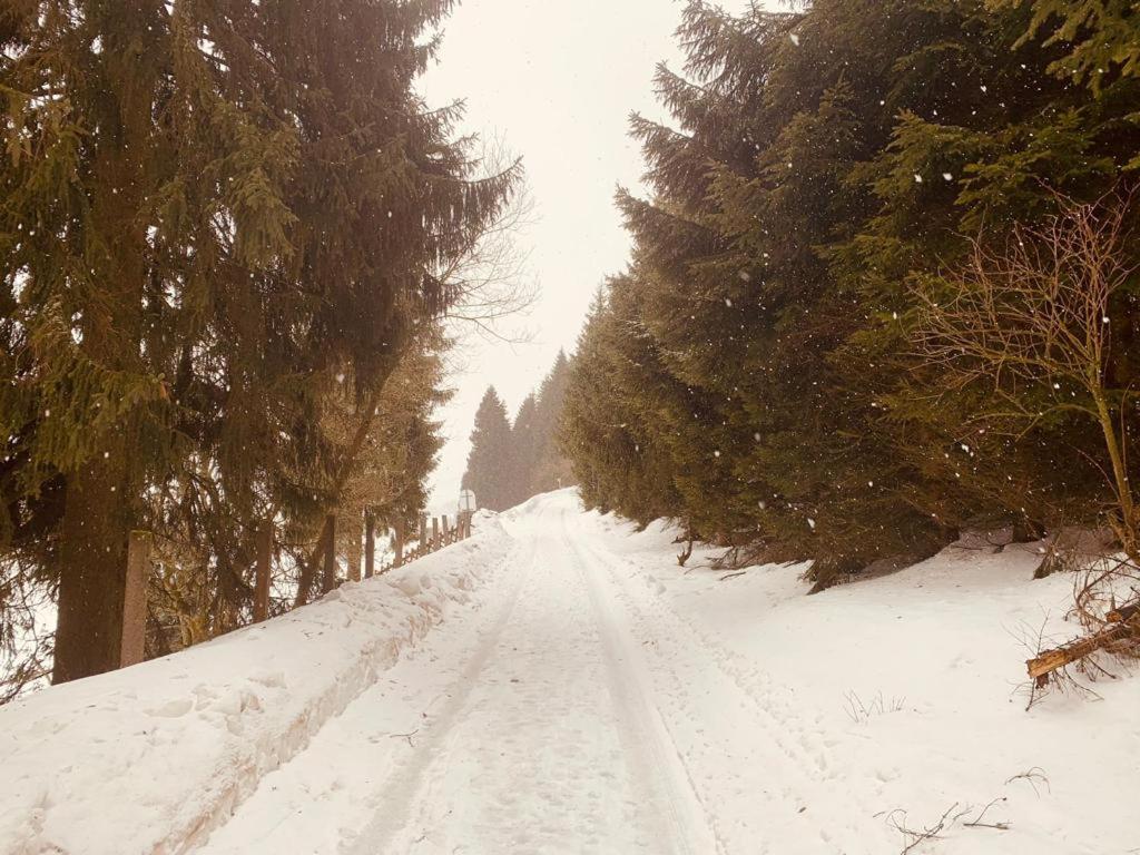 FeWo Bergblick - Oberwiesenthal - Property Image 27