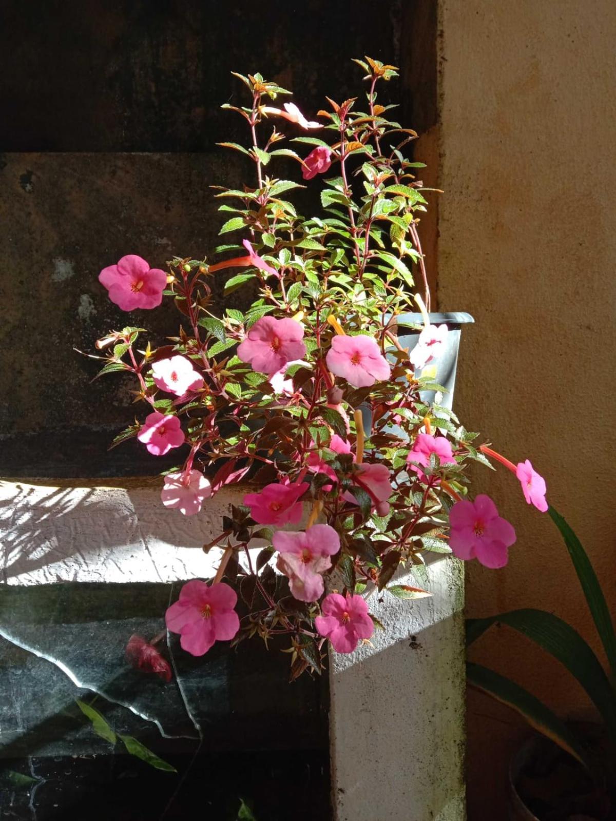 Photo 40